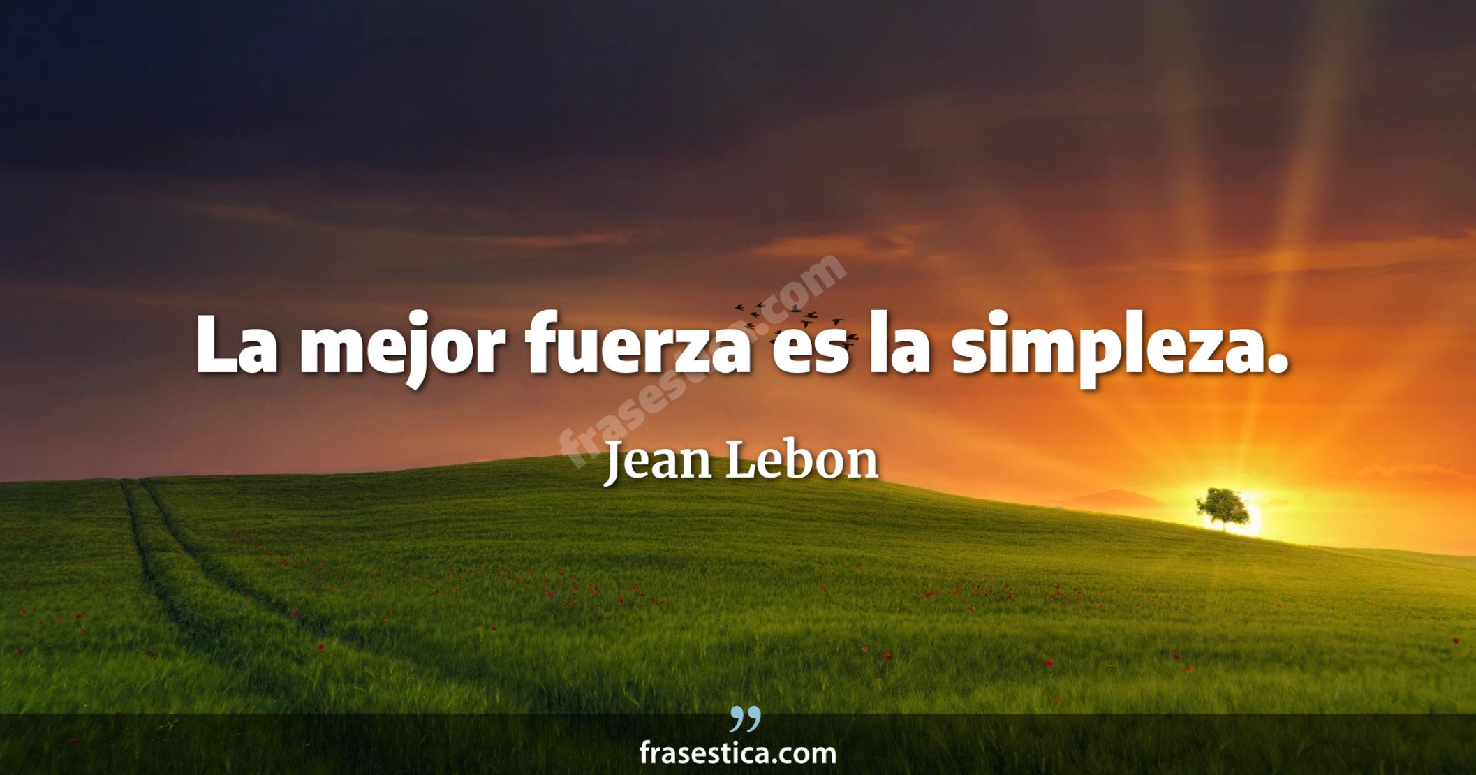La mejor fuerza es la simpleza. - Jean Lebon