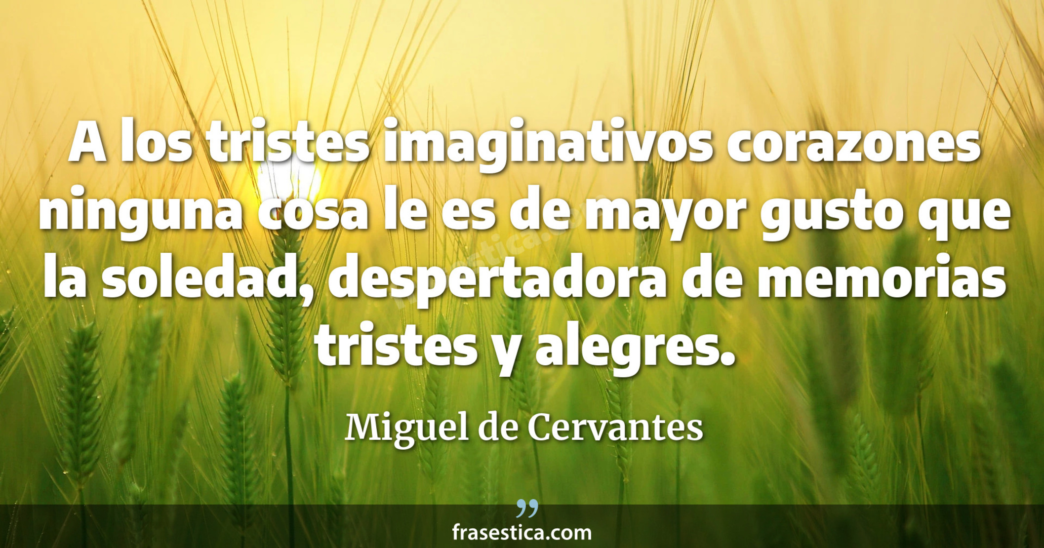 A los tristes imaginativos corazones ninguna cosa le es de mayor gusto que la soledad, despertadora de memorias tristes y alegres. - Miguel de Cervantes