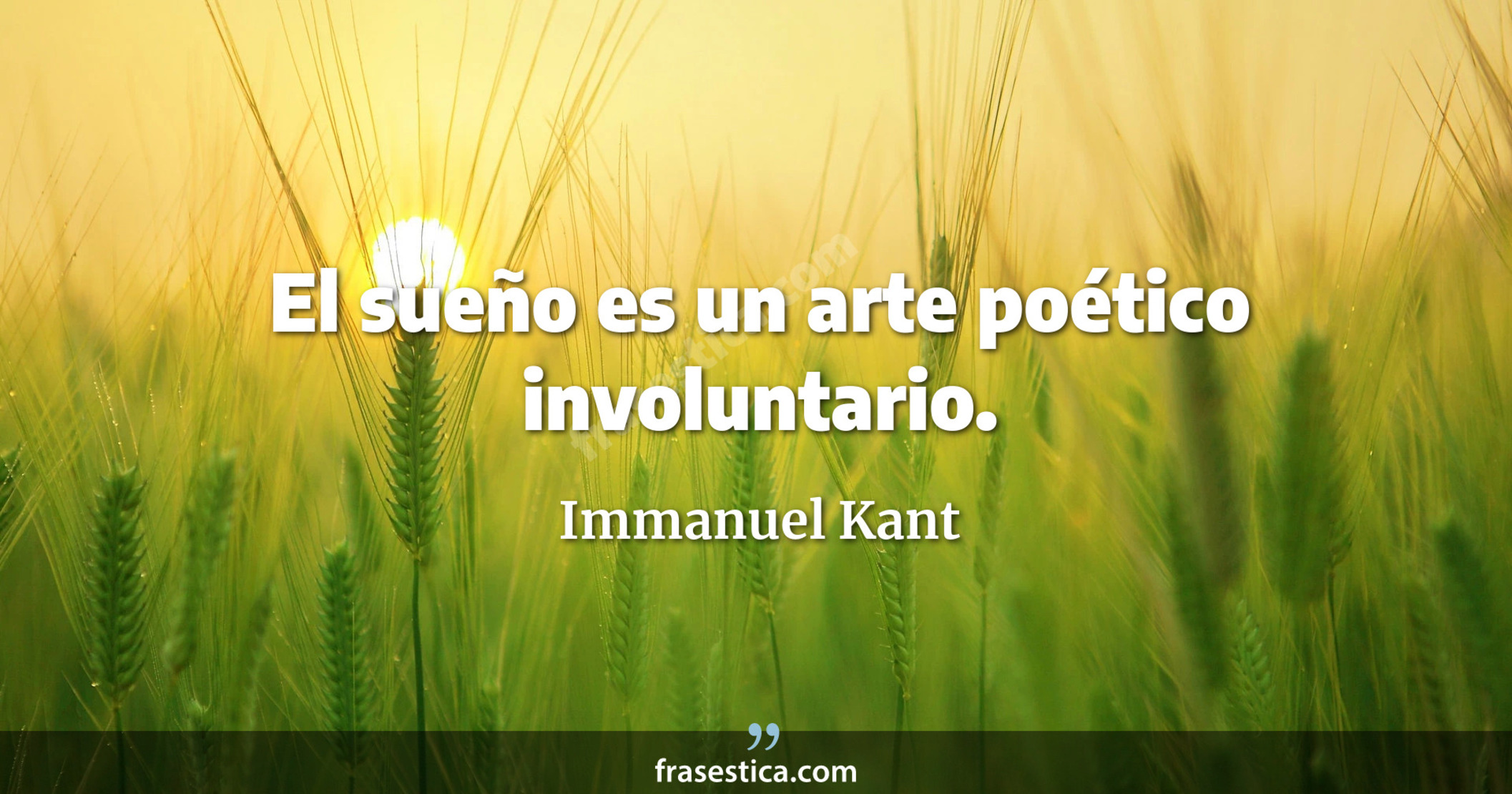 El sueño es un arte poético involuntario. - Immanuel Kant