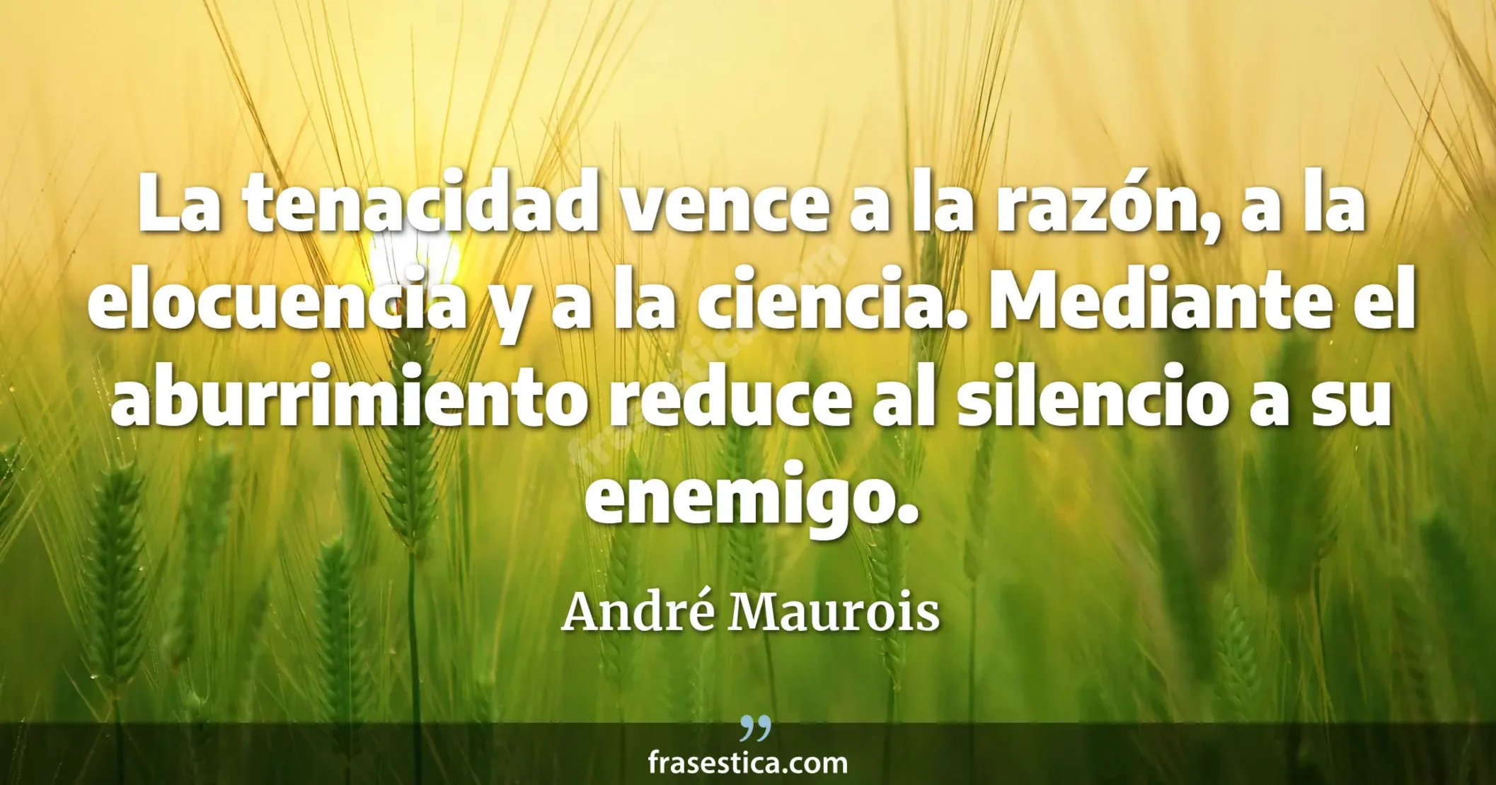 La tenacidad vence a la razón, a la elocuencia y a la ciencia. Mediante el aburrimiento reduce al silencio a su enemigo. - André Maurois