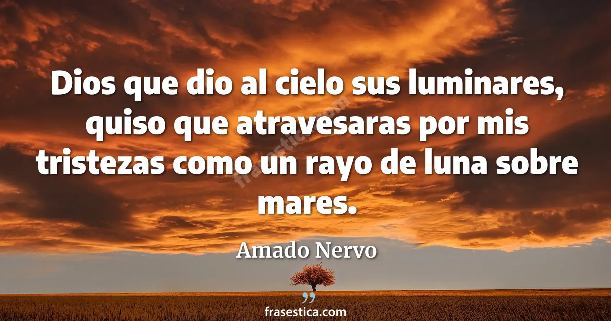 Dios que dio al cielo sus luminares, quiso que atravesaras por mis tristezas como un rayo de luna sobre mares. - Amado Nervo