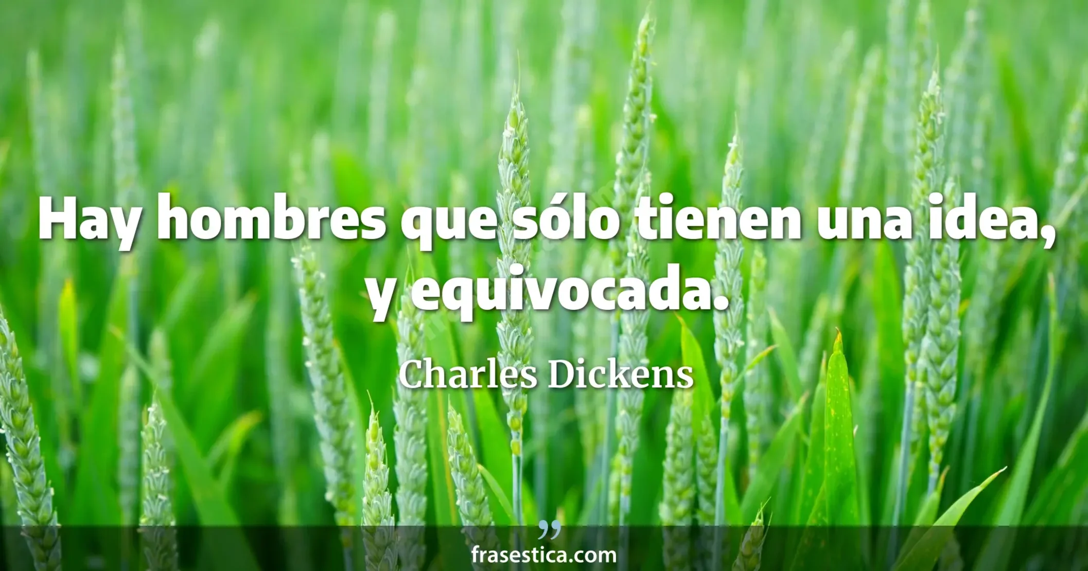 Hay hombres que sólo tienen una idea, y equivocada. - Charles Dickens