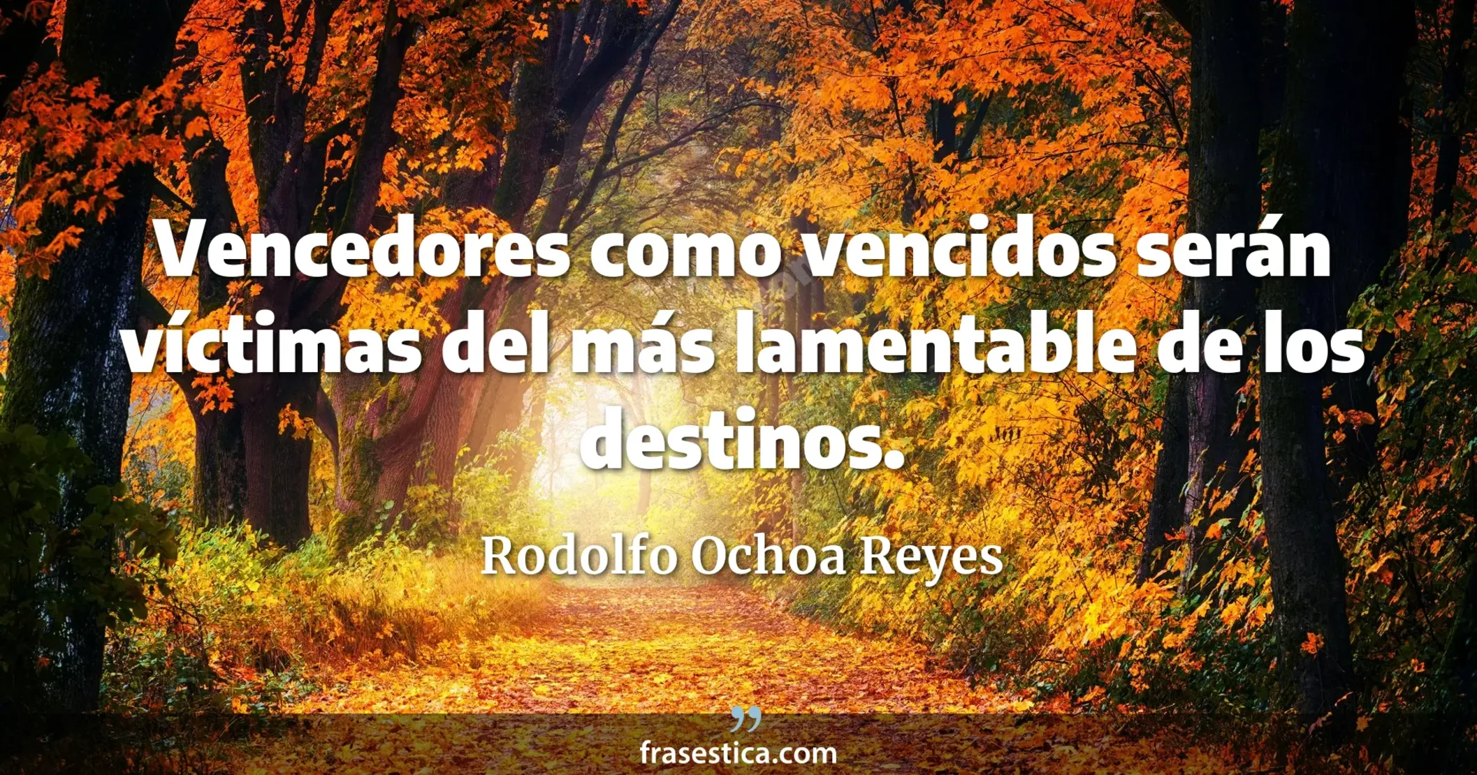 Vencedores como vencidos serán víctimas del más lamentable de los destinos. - Rodolfo Ochoa Reyes