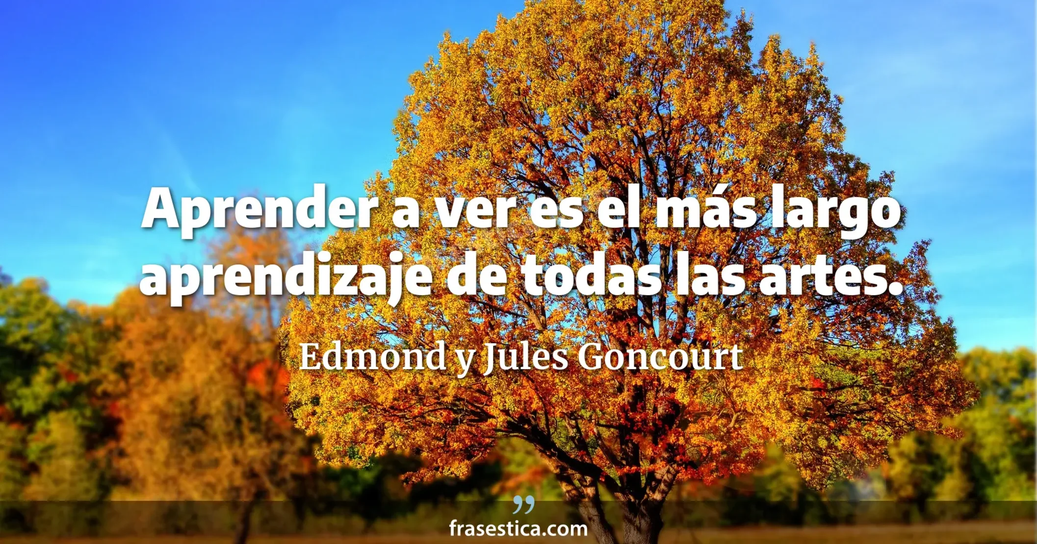 Aprender a ver es el más largo aprendizaje de todas las artes. - Edmond y Jules Goncourt