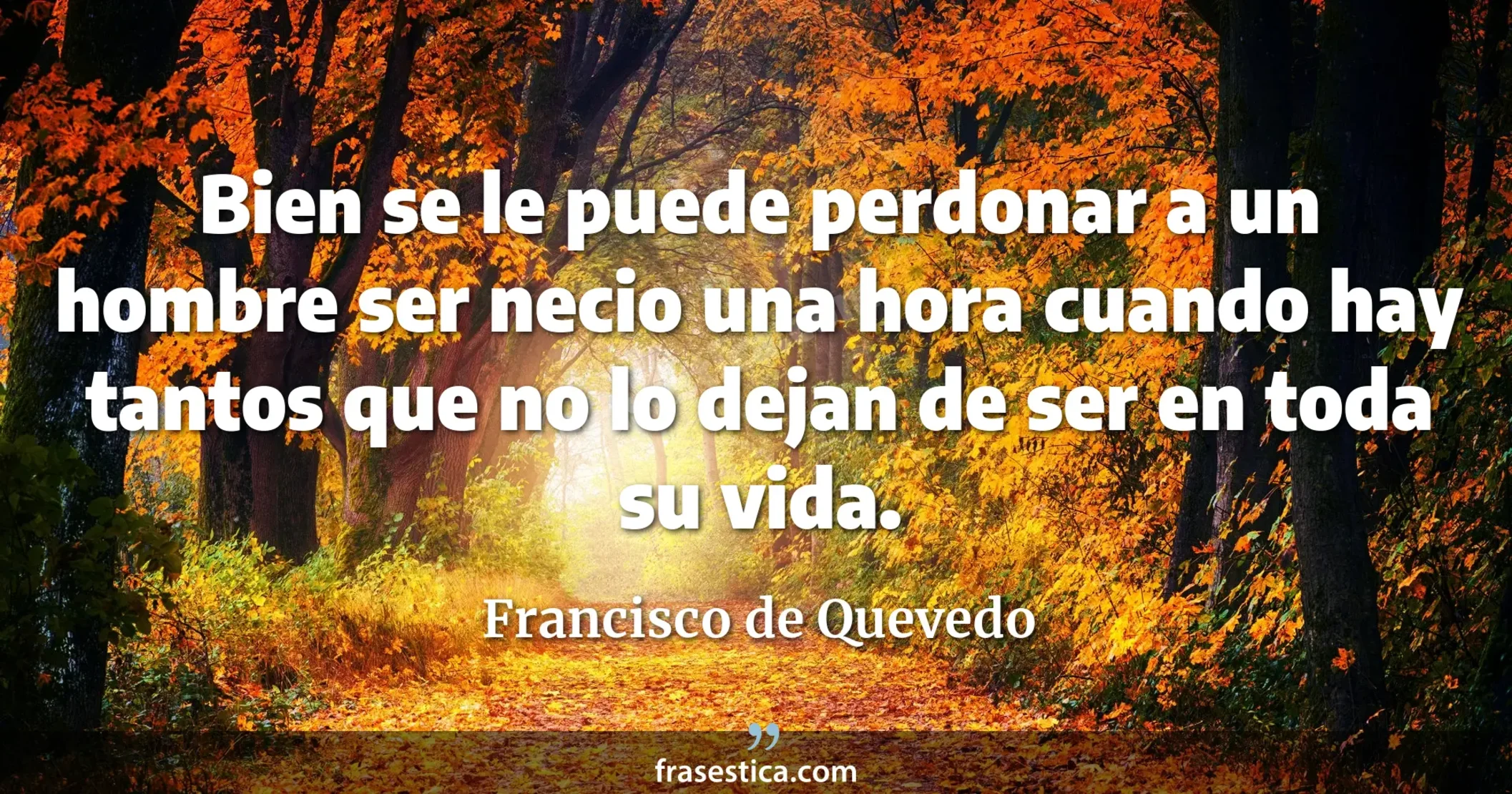 Bien se le puede perdonar a un hombre ser necio una hora cuando hay tantos que no lo dejan de ser en toda su vida. - Francisco de Quevedo