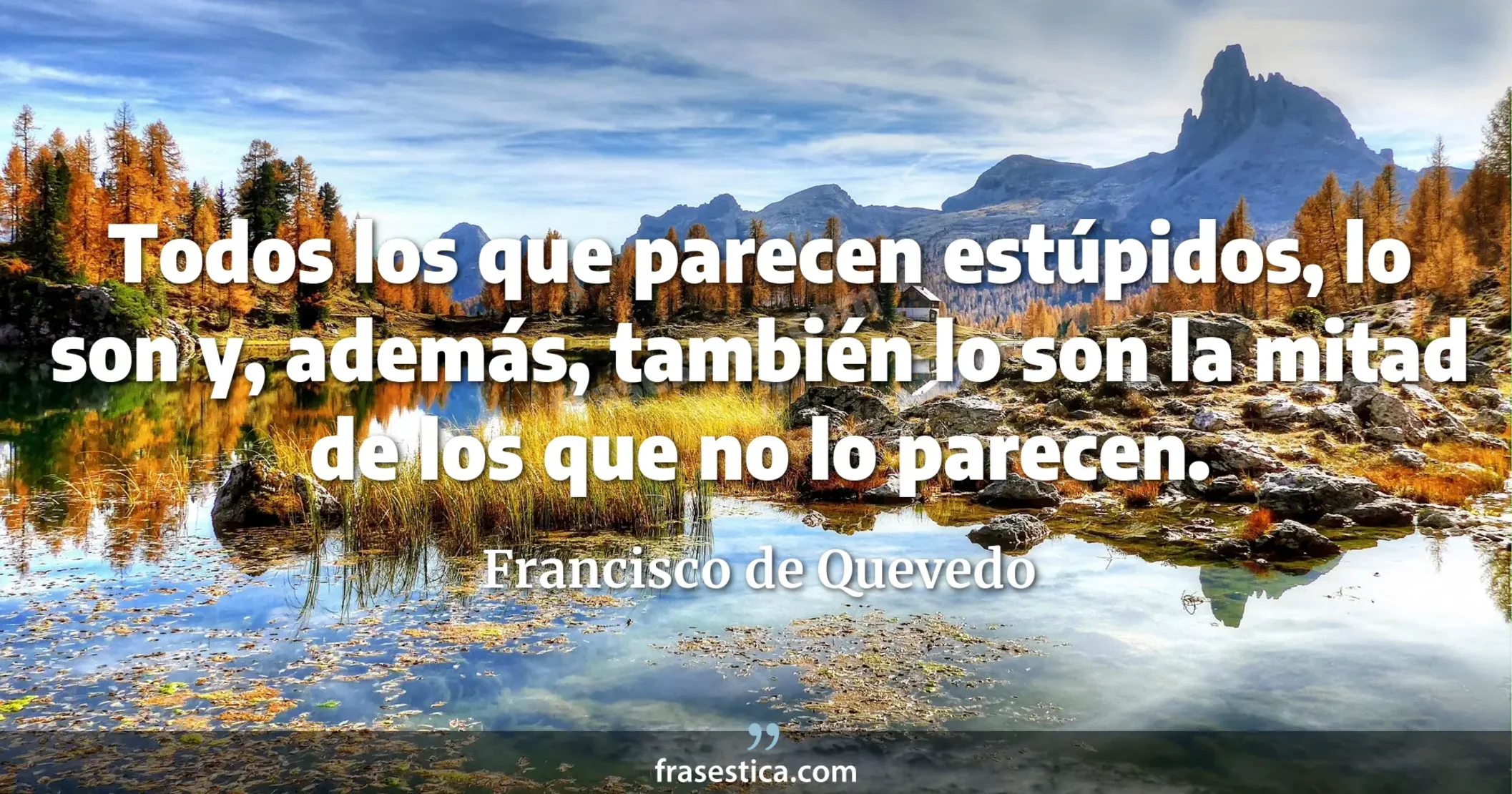 Todos los que parecen estúpidos, lo son y, además, también lo son la mitad de los que no lo parecen. - Francisco de Quevedo