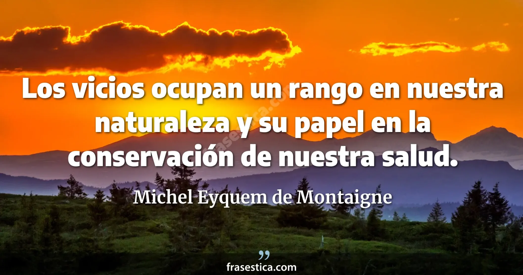 Los vicios ocupan un rango en nuestra naturaleza y su papel en  la conservación de nuestra salud. - Michel Eyquem de Montaigne