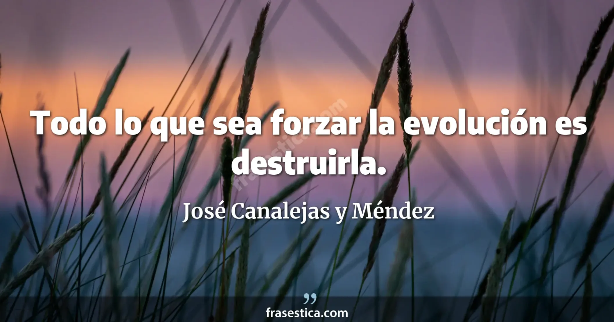 Todo lo que sea forzar la evolución es destruirla. - José Canalejas y Méndez