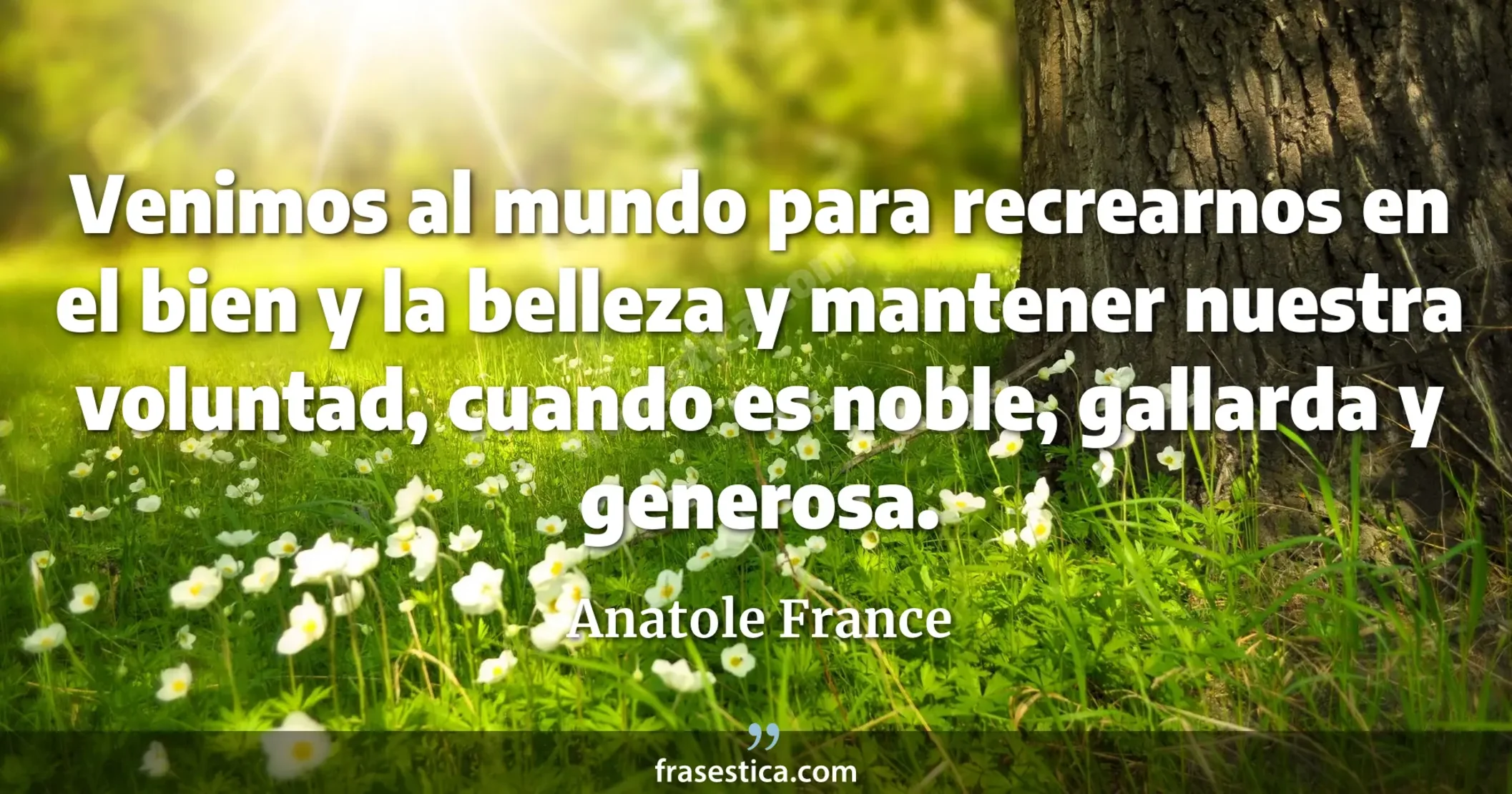 Venimos al mundo para recrearnos en el bien y la belleza y mantener nuestra voluntad, cuando es noble, gallarda y generosa. - Anatole France