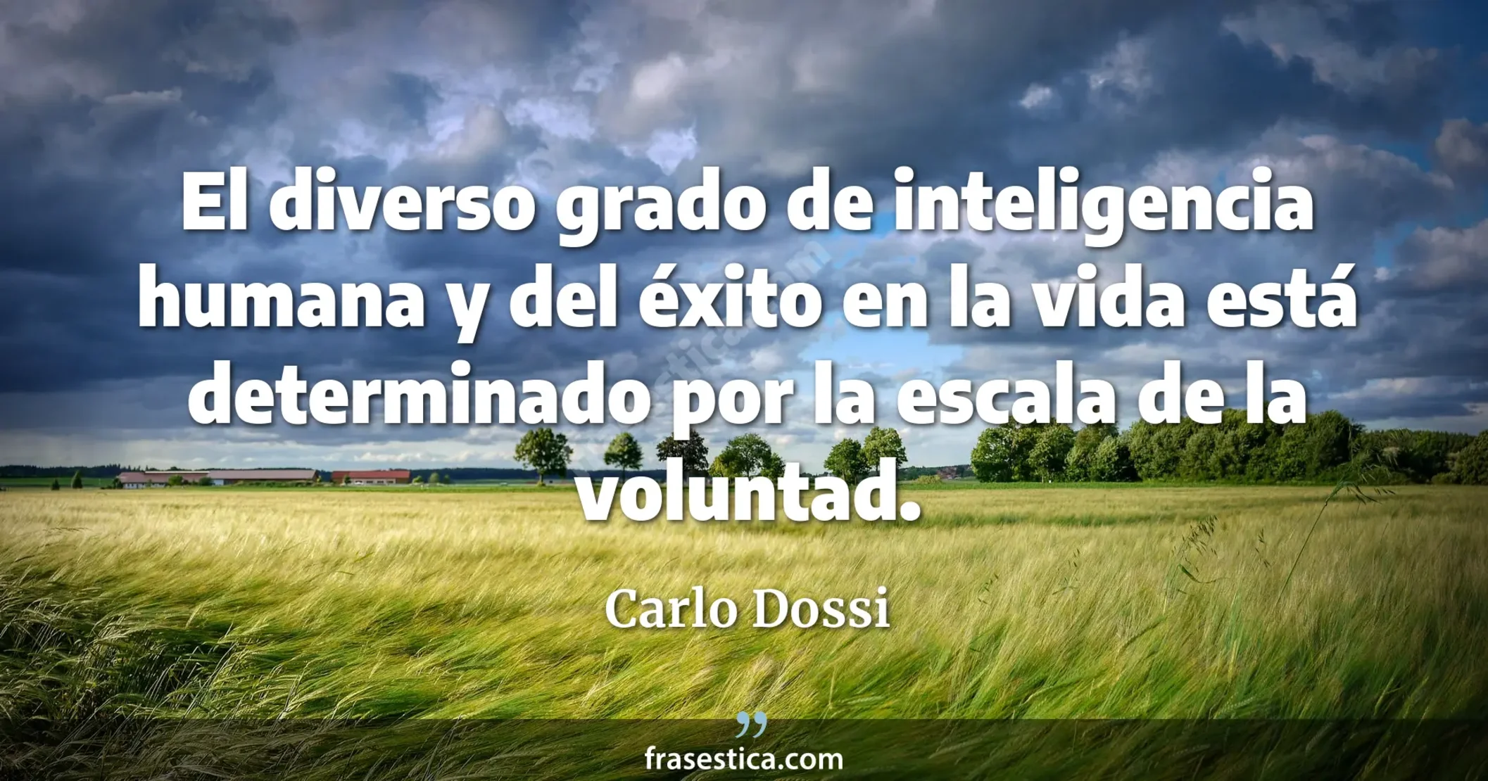 El diverso grado de inteligencia humana y del éxito en la vida está determinado por la escala de la voluntad. - Carlo Dossi