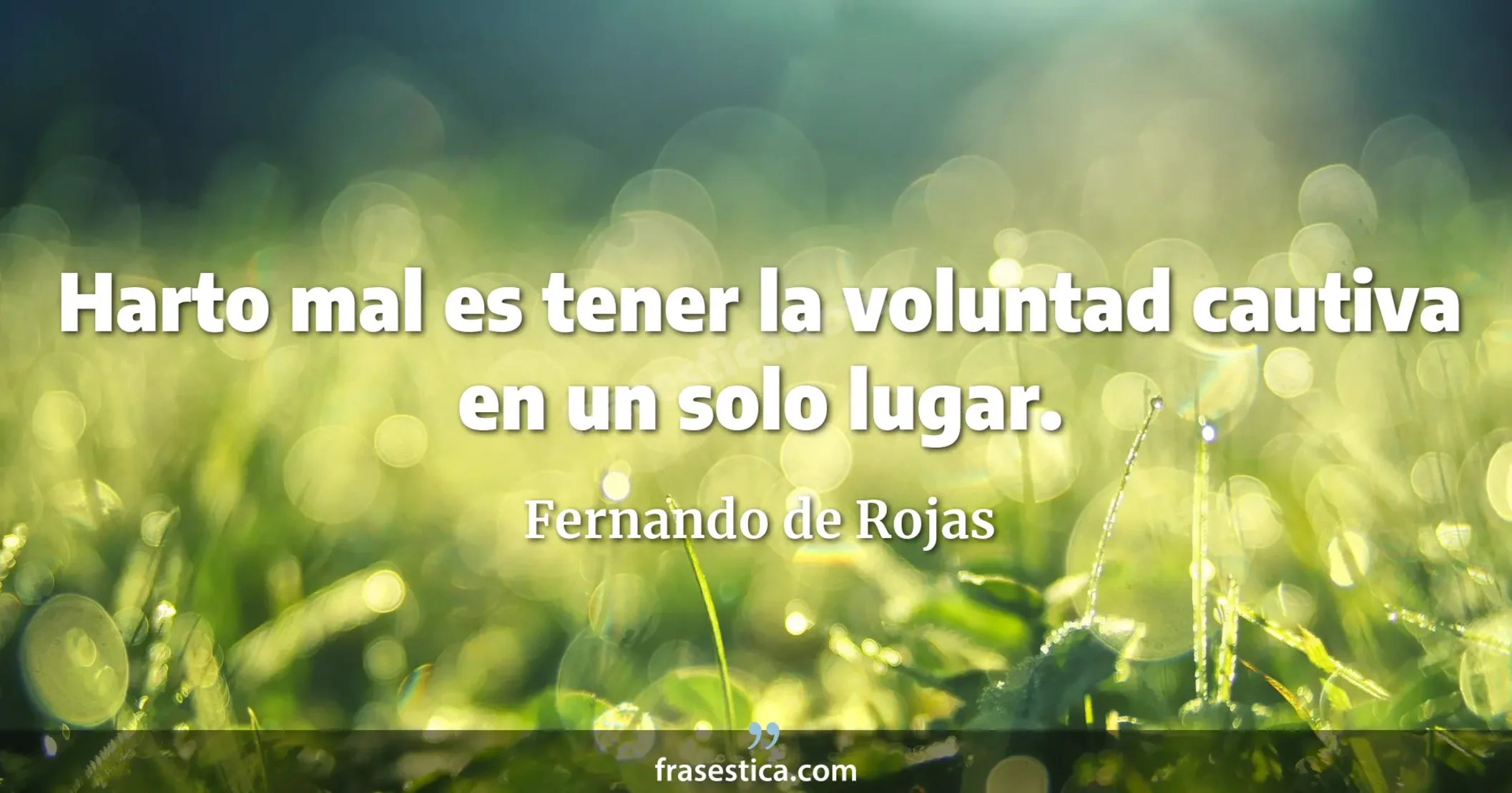 Harto mal es tener la voluntad cautiva en un solo lugar. - Fernando de Rojas