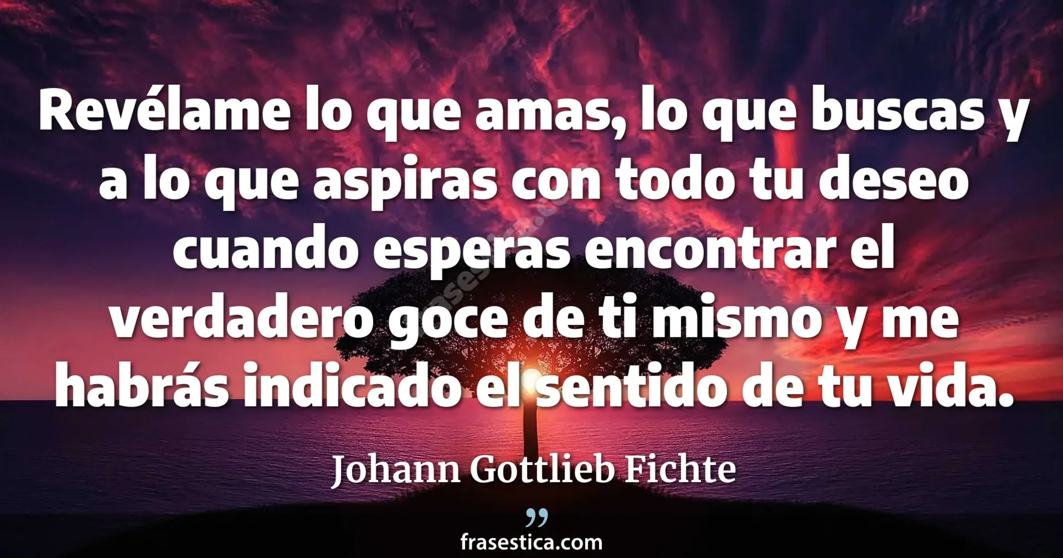 Revélame lo que amas, lo que buscas y a lo que aspiras con todo tu deseo cuando esperas encontrar el verdadero goce de ti mismo y me habrás indicado el sentido de tu vida. - Johann Gottlieb Fichte
