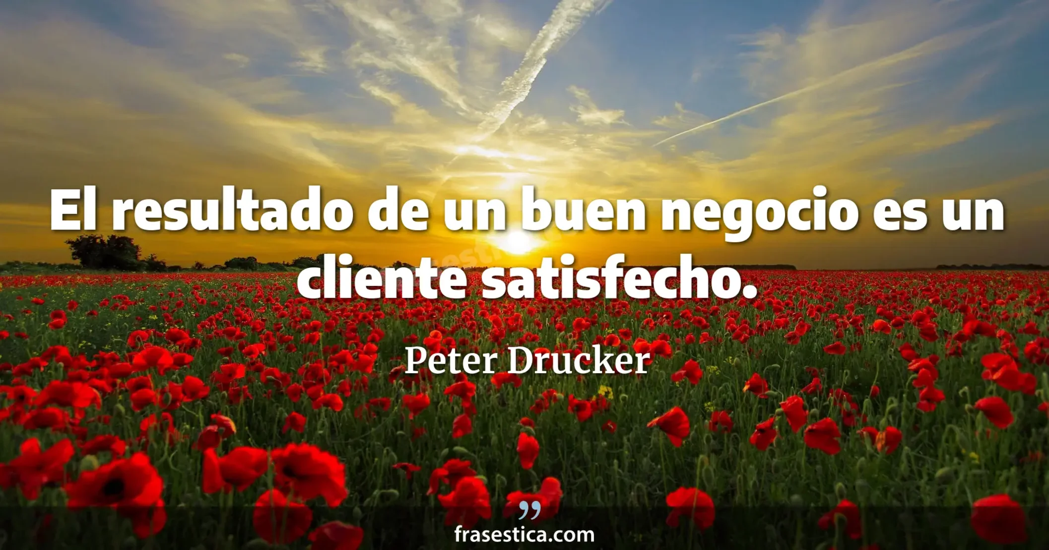 El resultado de un buen negocio es un cliente satisfecho. - Peter Drucker