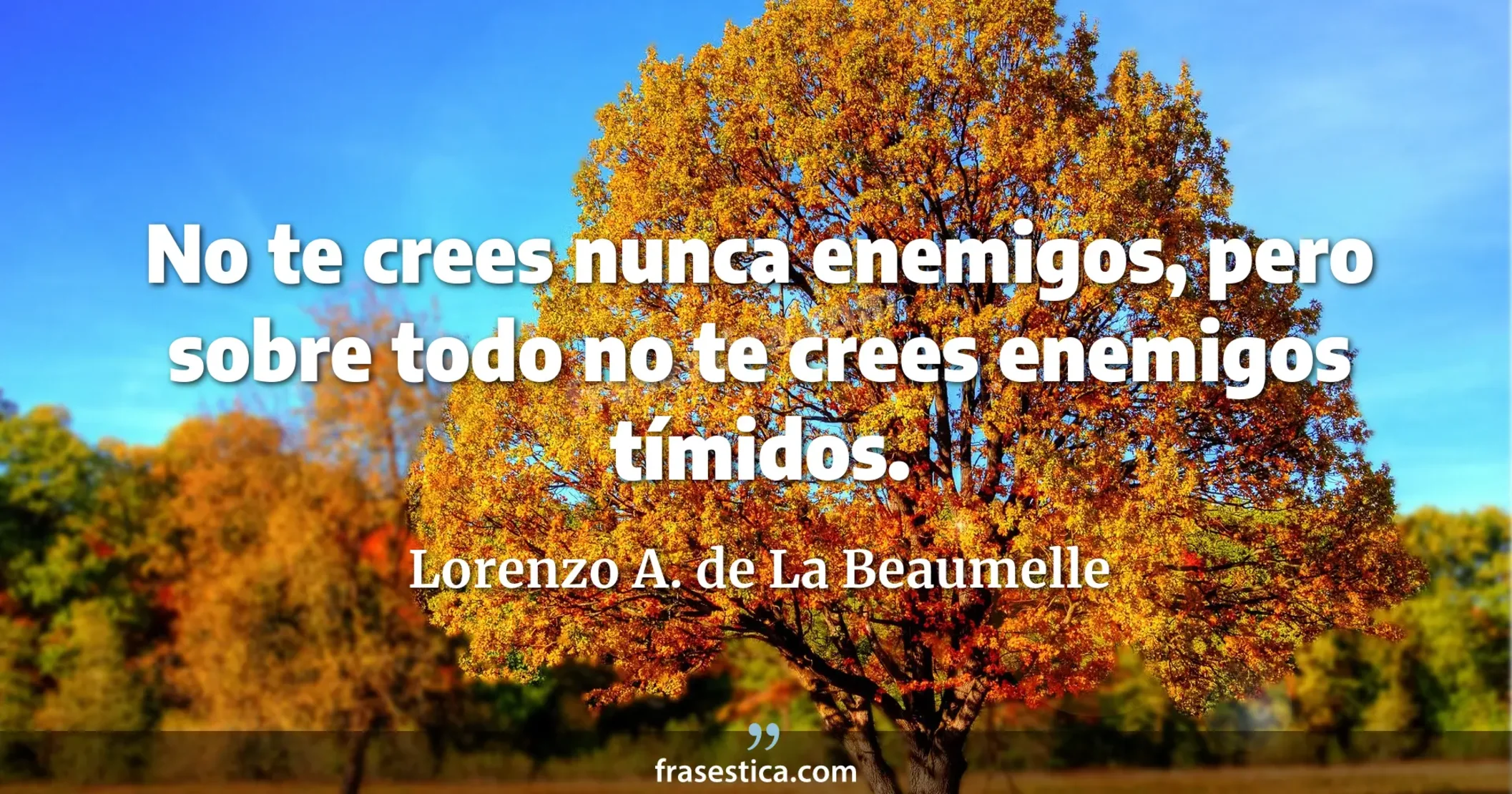 No te crees nunca enemigos, pero sobre todo no te crees enemigos tímidos. - Lorenzo A. de La Beaumelle