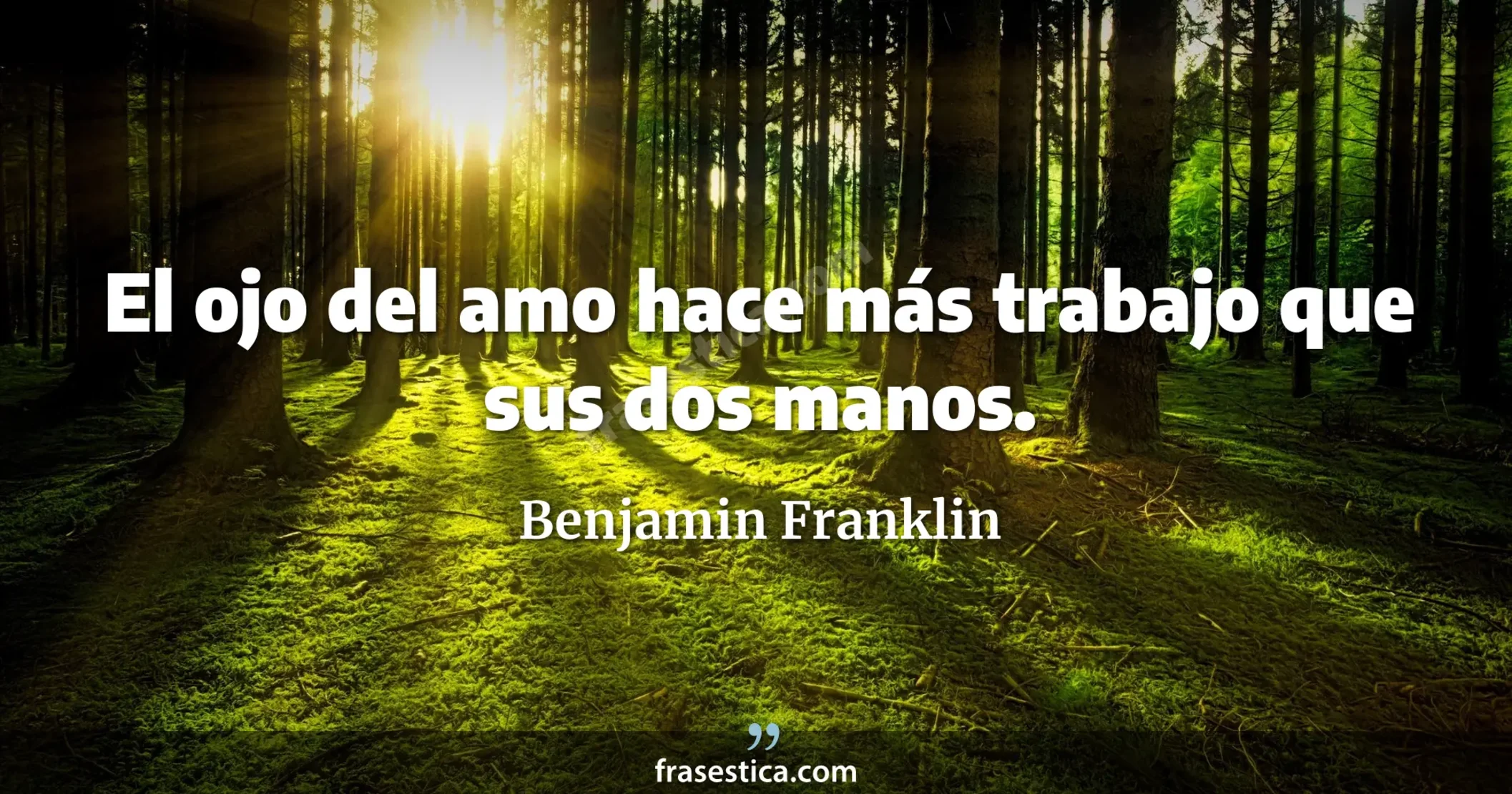 El ojo del amo hace más trabajo que sus dos manos. - Benjamin Franklin