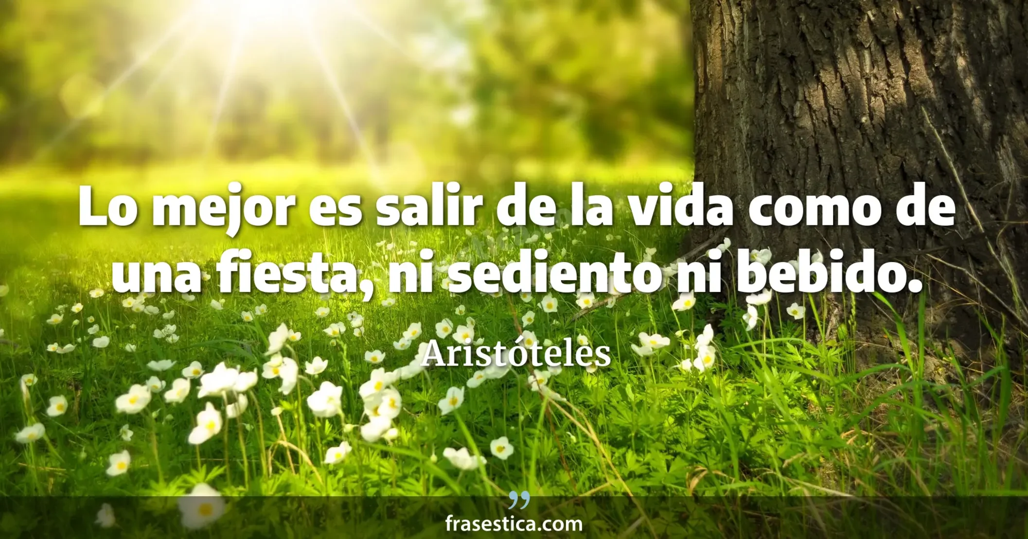 Lo mejor es salir de la vida como de una fiesta, ni sediento ni bebido. - Aristóteles