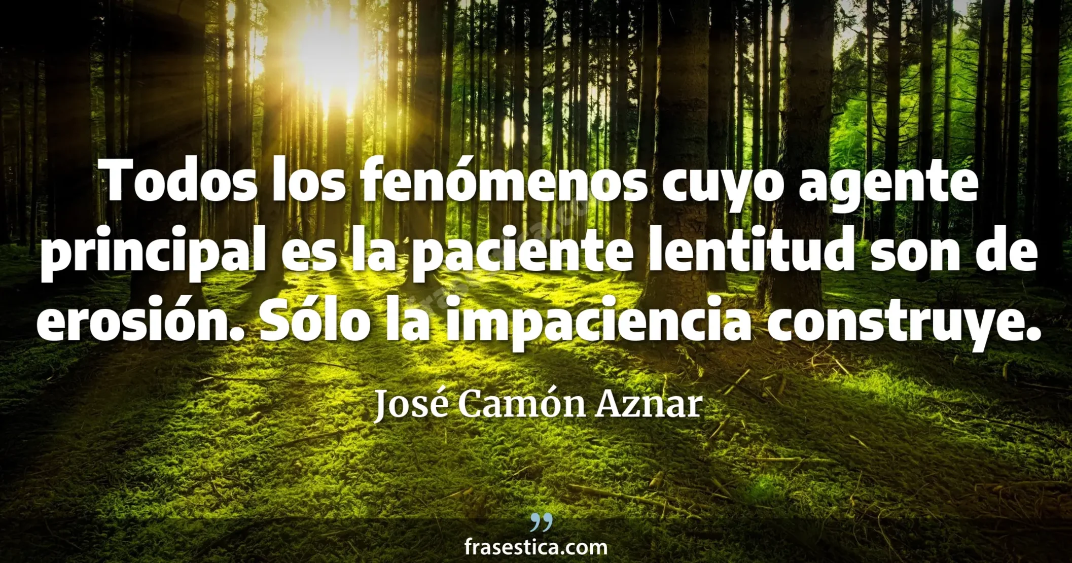 Todos los fenómenos cuyo agente principal es la paciente lentitud son de erosión. Sólo la impaciencia construye. - José Camón Aznar