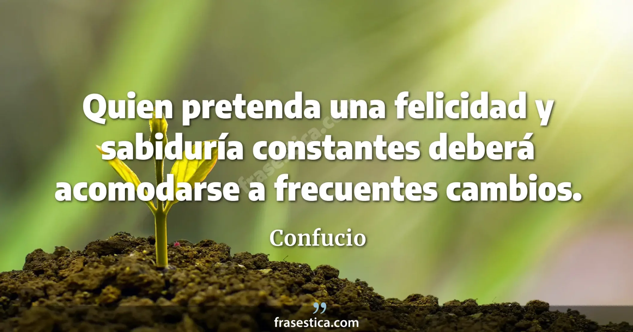 Quien pretenda una felicidad y sabiduría constantes deberá acomodarse a frecuentes cambios. - Confucio
