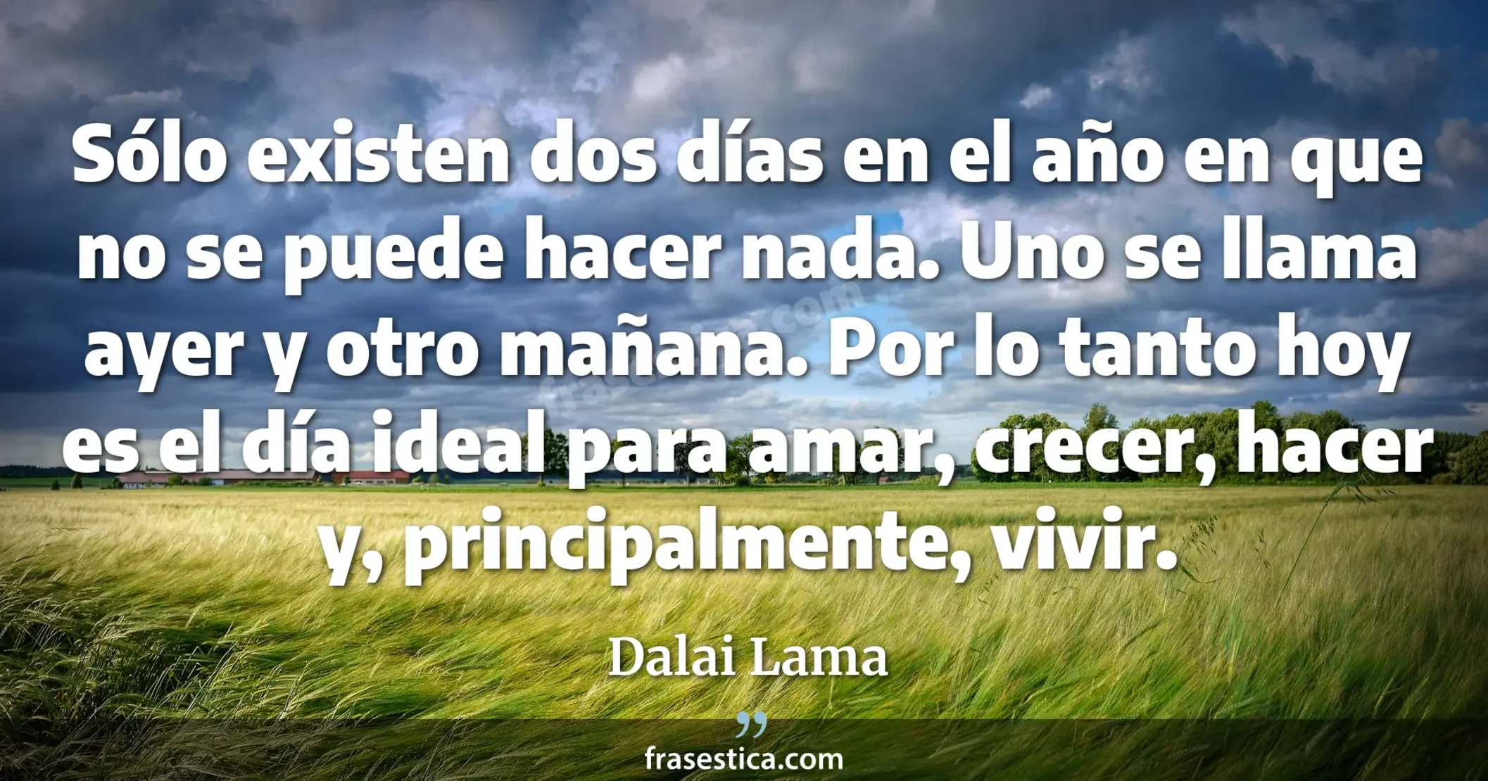Sólo existen dos días en el año en que no se puede hacer nada. Uno se llama ayer y otro mañana. Por lo tanto hoy es el día ideal para amar, crecer, hacer y, principalmente, vivir. - Dalai Lama