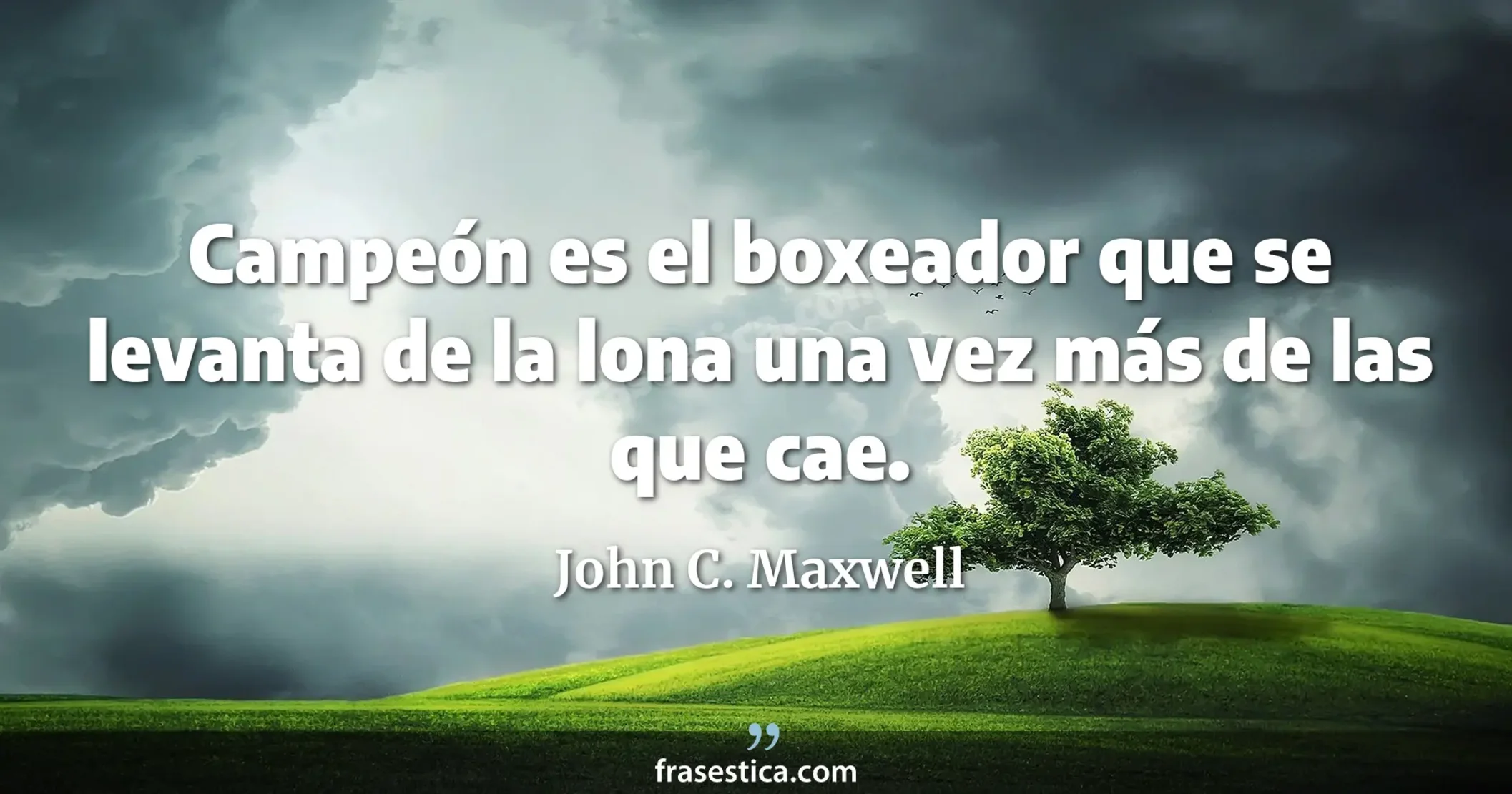 Campeón es el boxeador que se levanta de la lona una vez más de las que cae. - John C. Maxwell