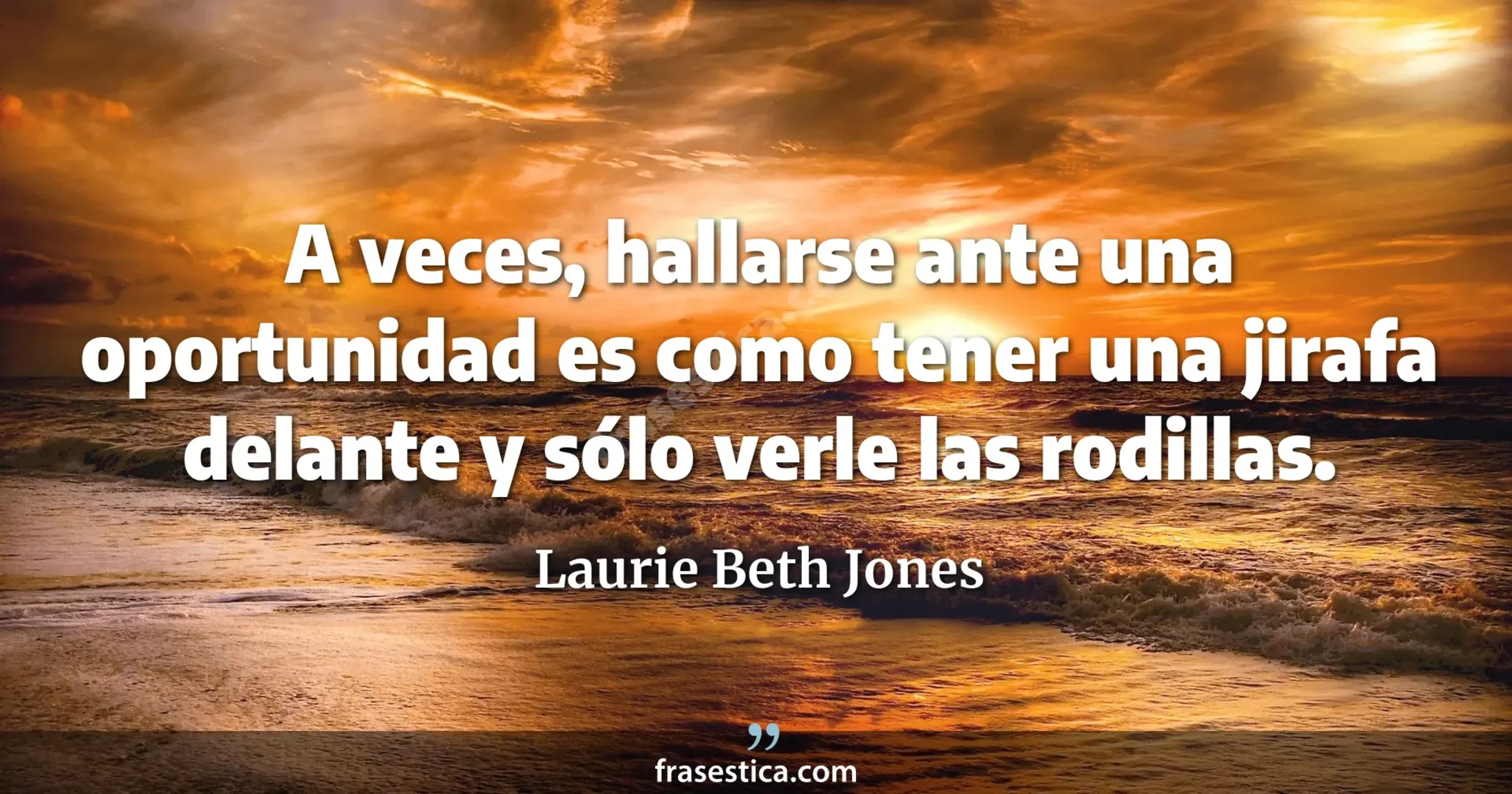 A veces, hallarse ante una oportunidad es como tener una jirafa delante y sólo verle las rodillas. - Laurie Beth Jones