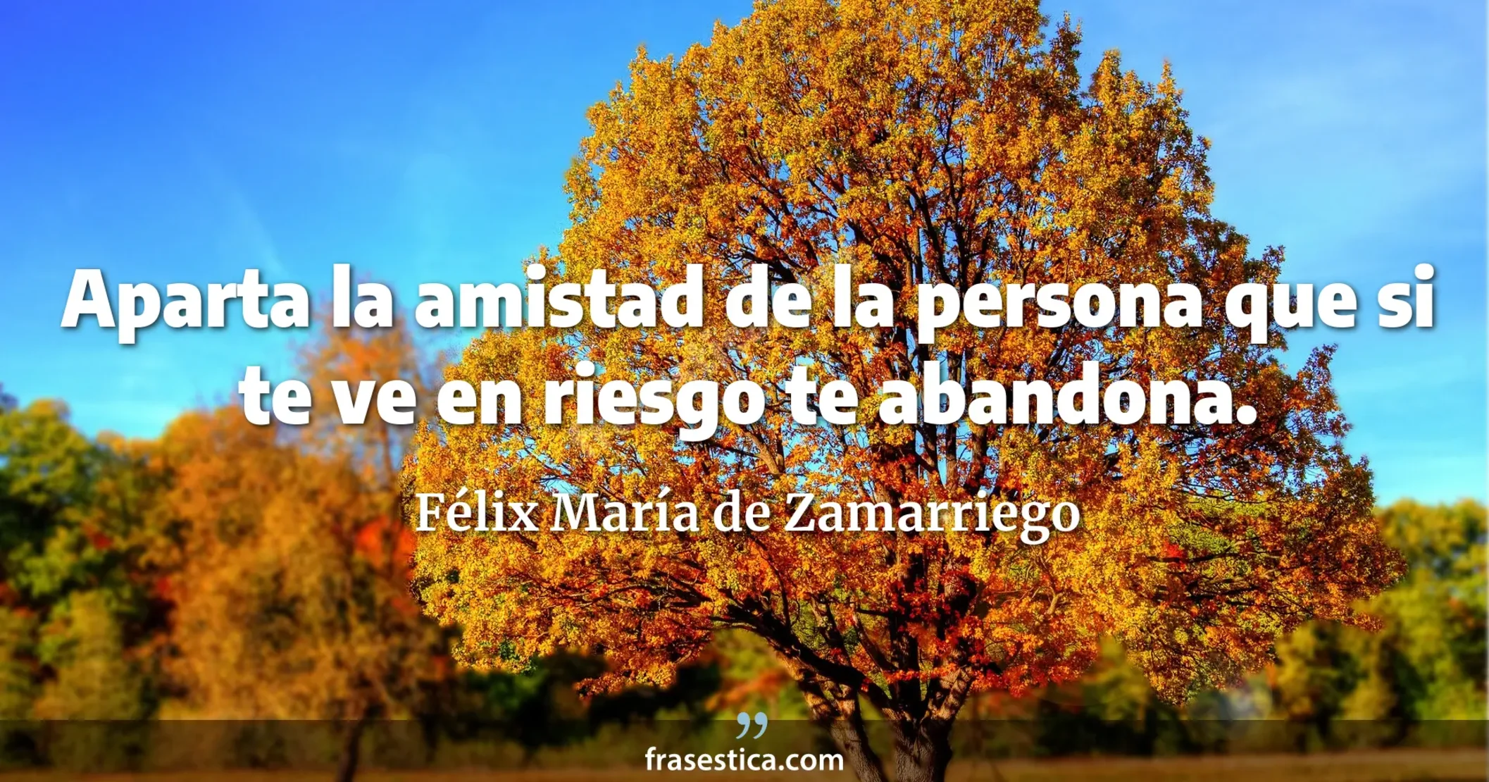Aparta la amistad de la persona que si te ve en riesgo te abandona. - Félix María de Zamarriego