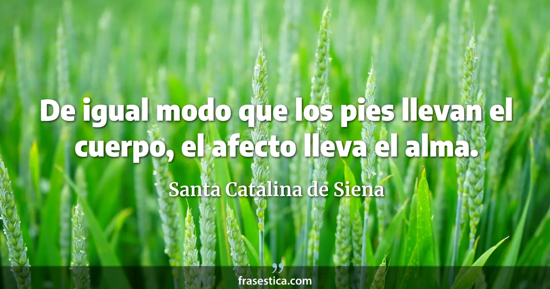 De igual modo que los pies llevan el cuerpo, el afecto lleva el alma. - Santa Catalina de Siena