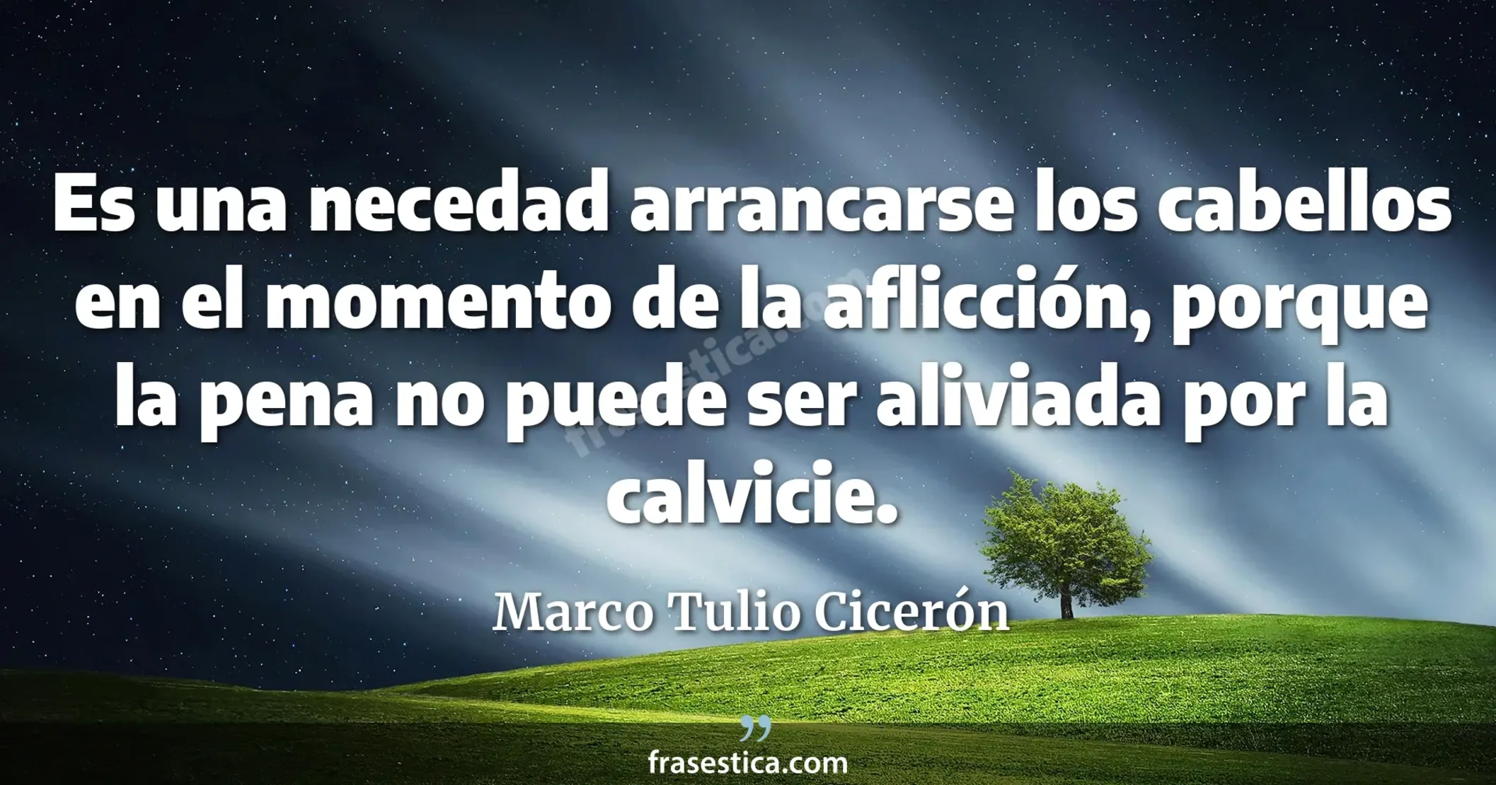 Es una necedad arrancarse los cabellos en el momento de la aflicción, porque la pena no puede ser aliviada por la calvicie. - Marco Tulio Cicerón