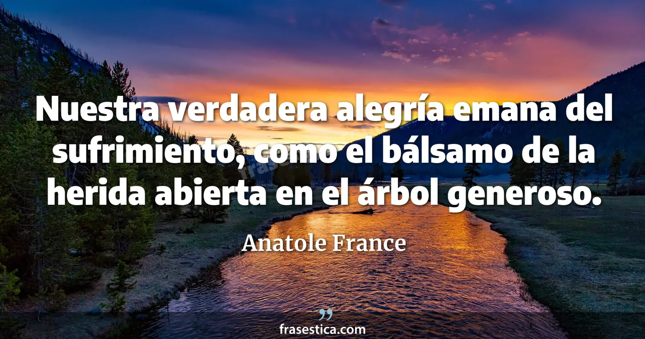 Nuestra verdadera alegría emana del sufrimiento, como el bálsamo de la herida abierta en el árbol generoso.  - Anatole France