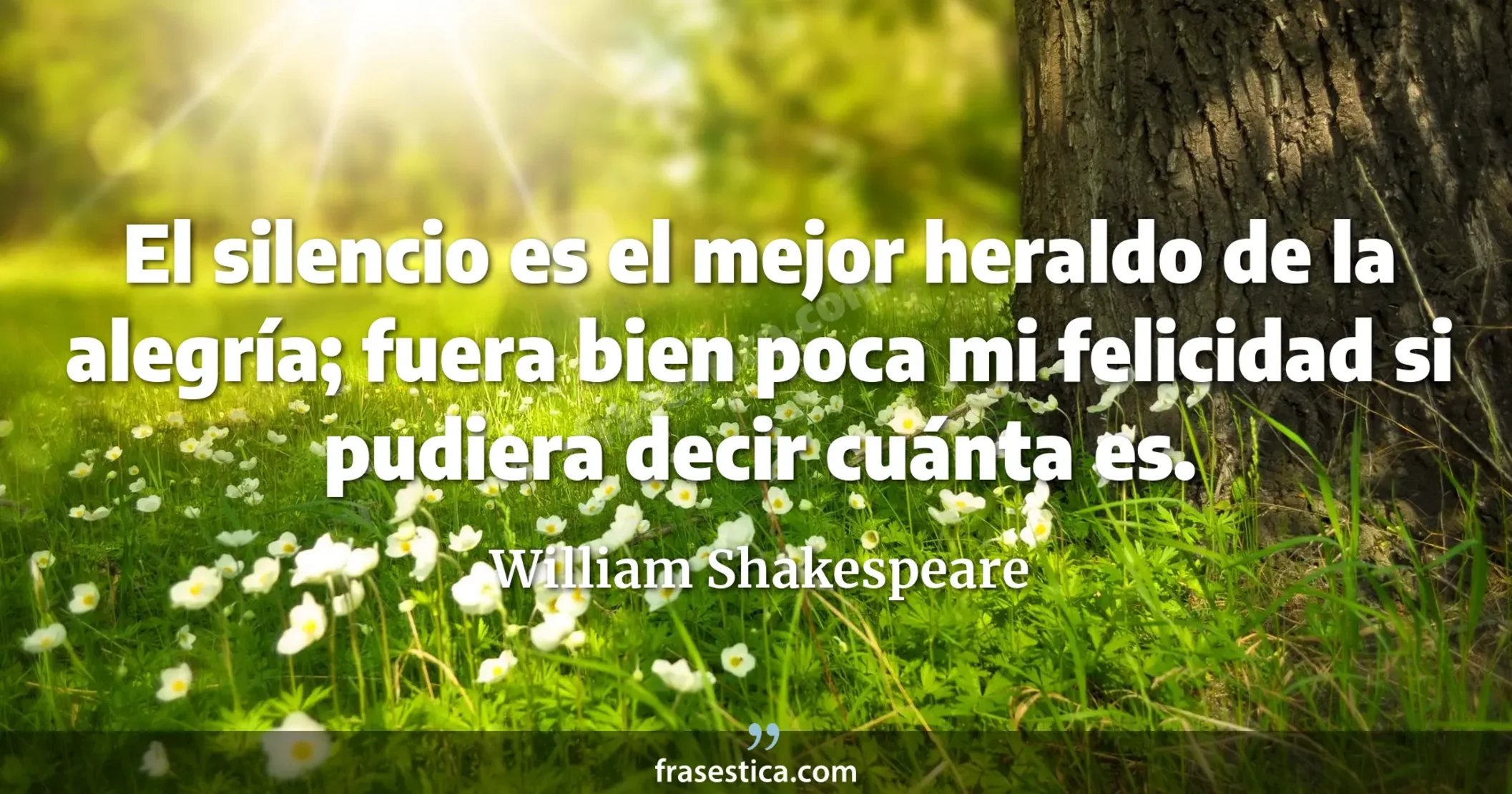 El silencio es el mejor heraldo de la alegría; fuera bien poca mi felicidad si pudiera decir cuánta es. - William Shakespeare