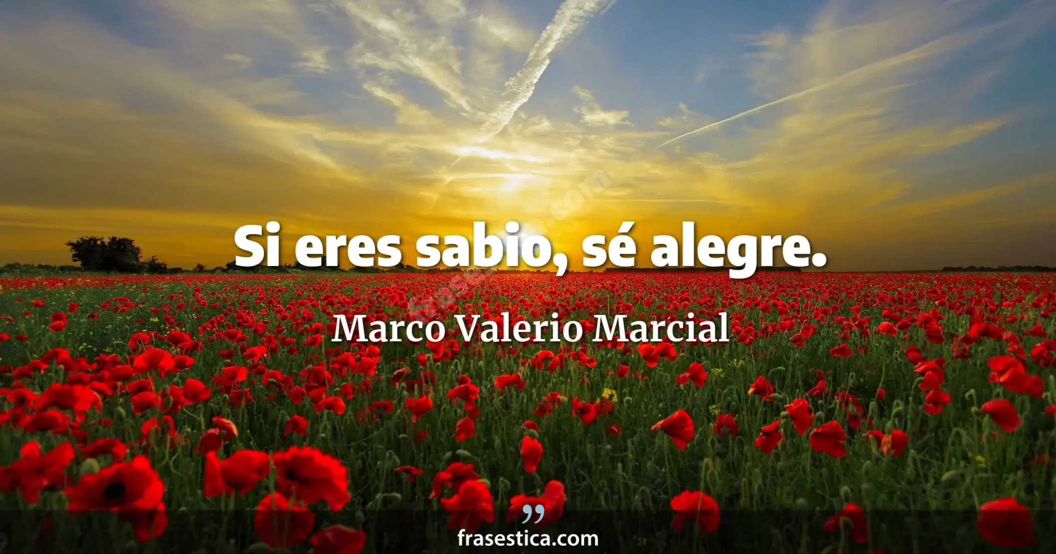 Si eres sabio, sé alegre. - Marco Valerio Marcial