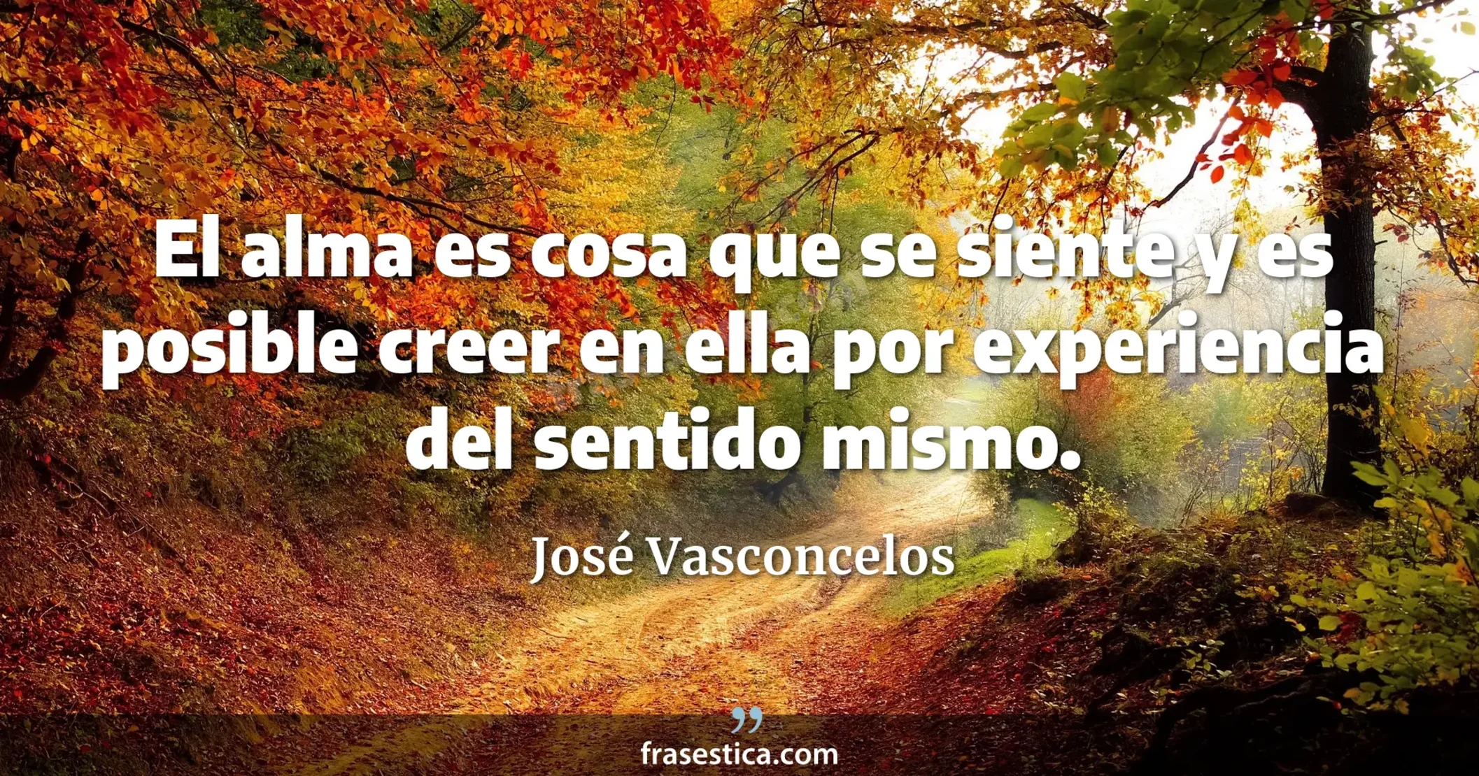 El alma es cosa que se siente y es posible creer en ella por experiencia del sentido mismo. - José Vasconcelos