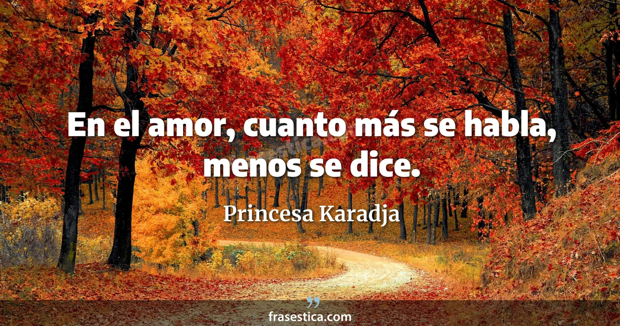 En el amor, cuanto más se habla, menos se dice. - Princesa Karadja