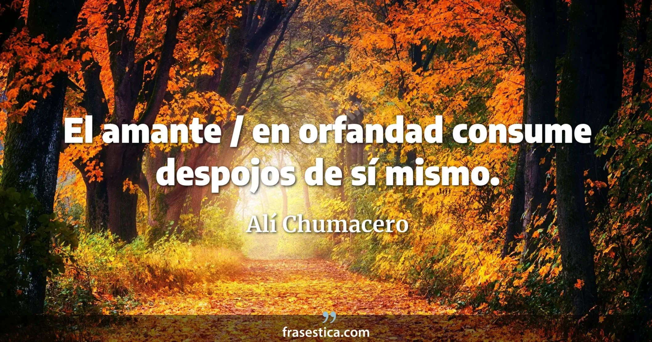 El amante / en orfandad consume despojos de sí mismo. - Alí Chumacero