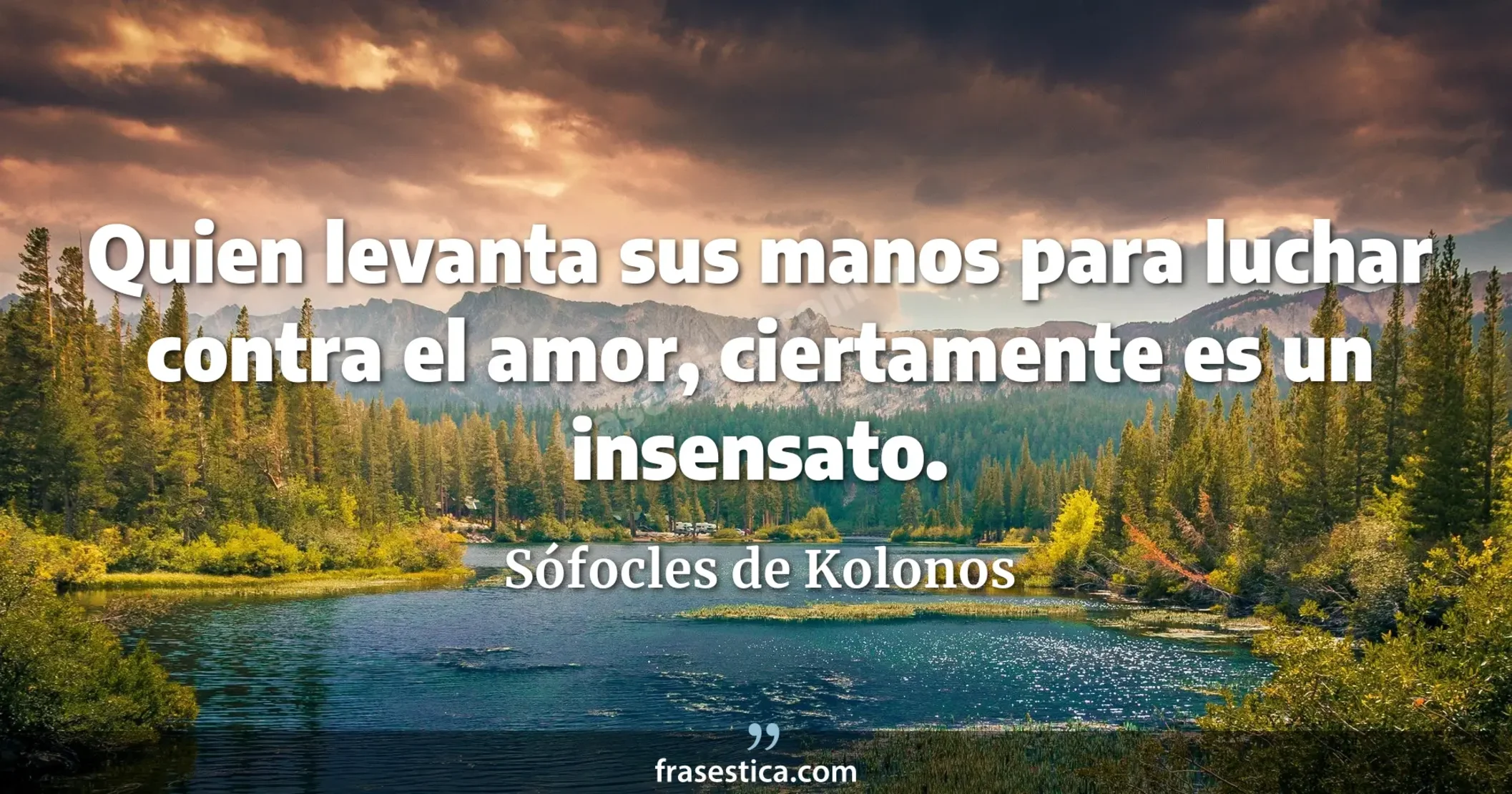Quien levanta sus manos para luchar contra el amor, ciertamente es un insensato. - Sófocles de Kolonos