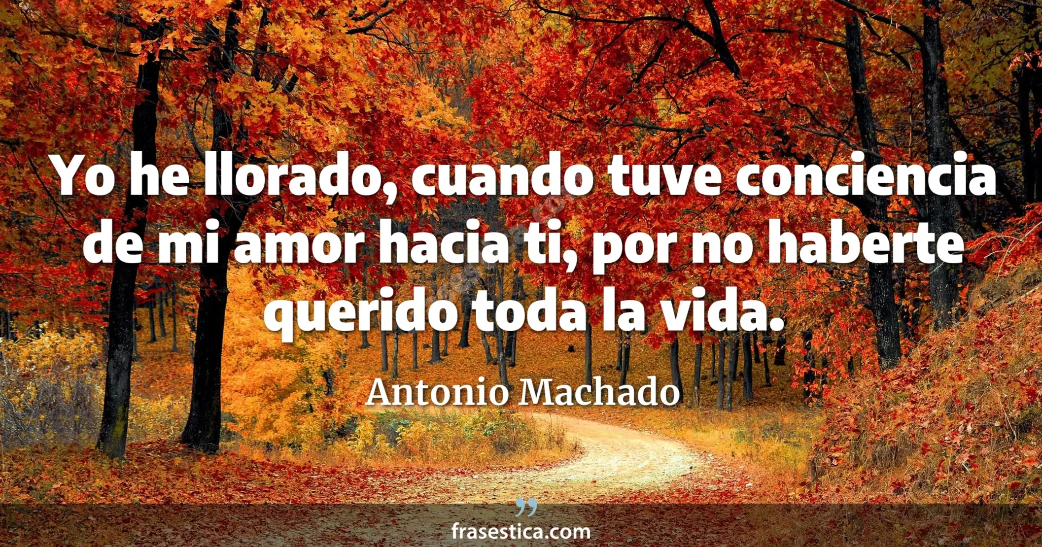 Yo he llorado, cuando tuve conciencia de mi amor hacia ti, por no haberte querido toda la vida. - Antonio Machado