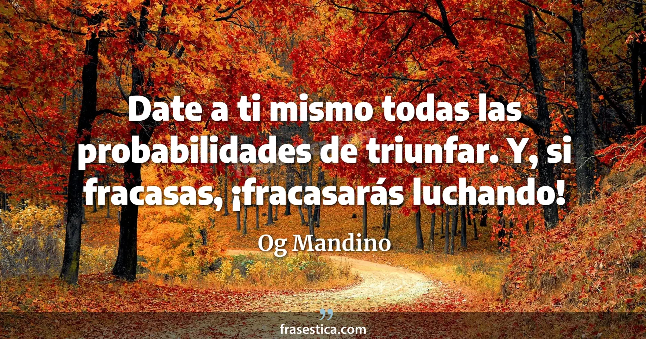 Date a ti mismo todas las probabilidades de triunfar. Y, si fracasas, ¡fracasarás luchando! - Og Mandino
