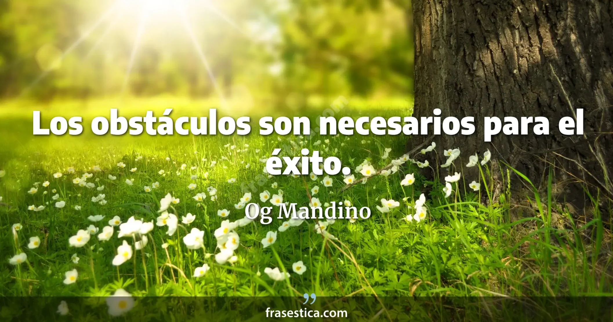 Los obstáculos son necesarios para el éxito. - Og Mandino