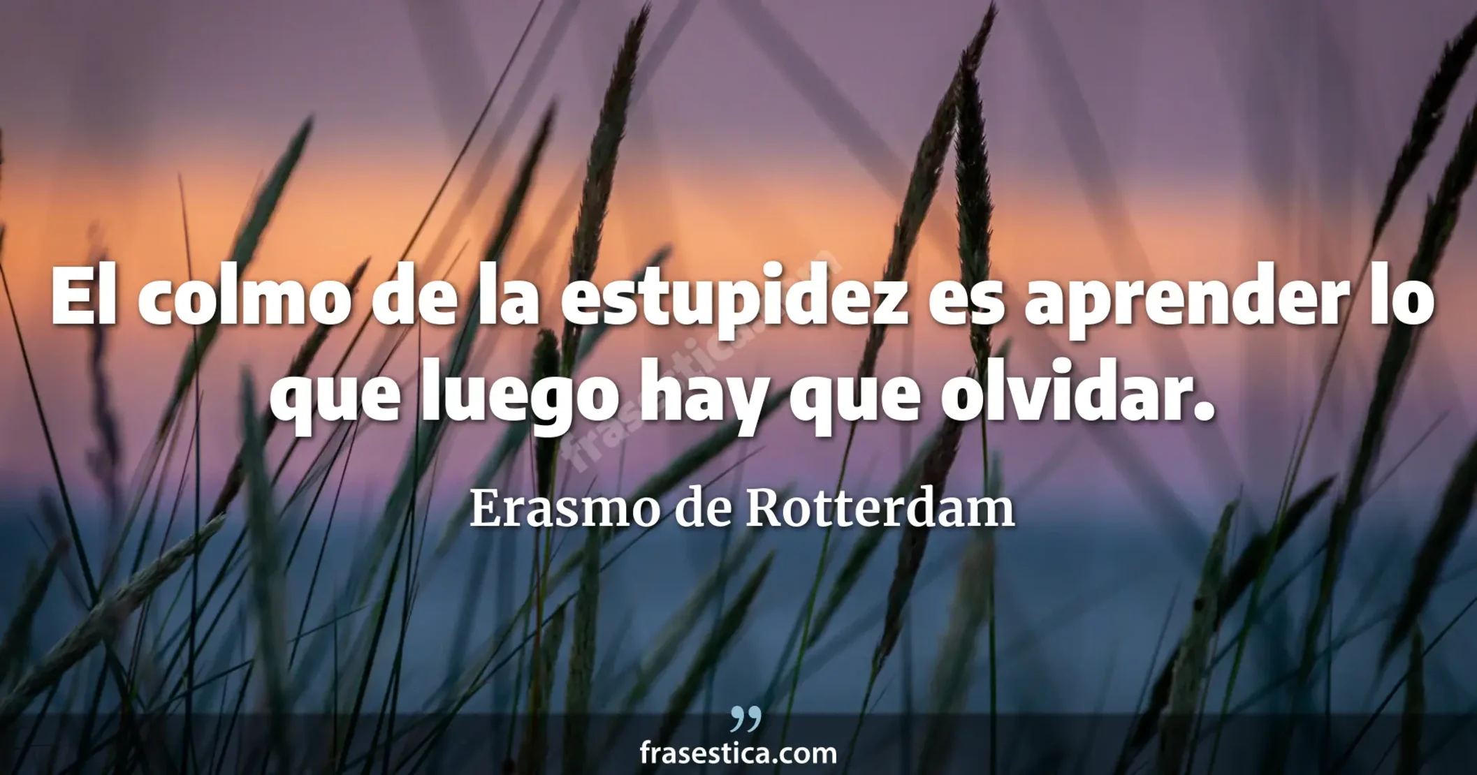 El colmo de la estupidez es aprender lo que luego hay que olvidar. - Erasmo de Rotterdam