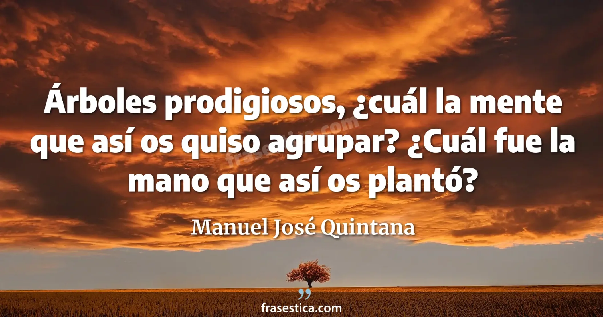 Árboles prodigiosos, ¿cuál la mente que así os quiso agrupar? ¿Cuál fue la mano que así os plantó? - Manuel José Quintana