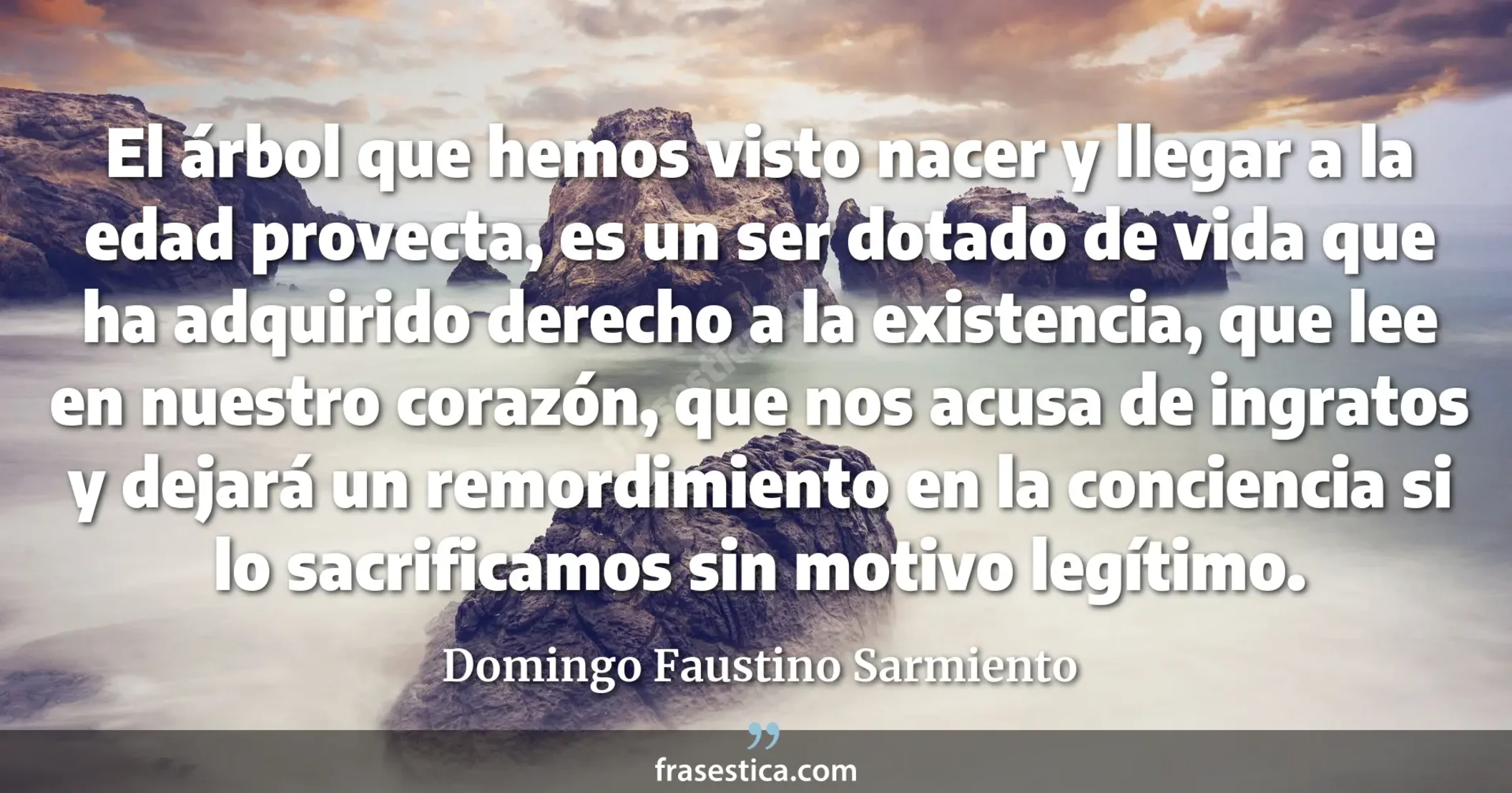El árbol que hemos visto nacer y llegar a la edad provecta, es un ser dotado de vida que ha adquirido derecho a la existencia, que lee en nuestro corazón, que nos acusa de ingratos y dejará un remordimiento en la conciencia si lo sacrificamos sin motivo legítimo. - Domingo Faustino Sarmiento