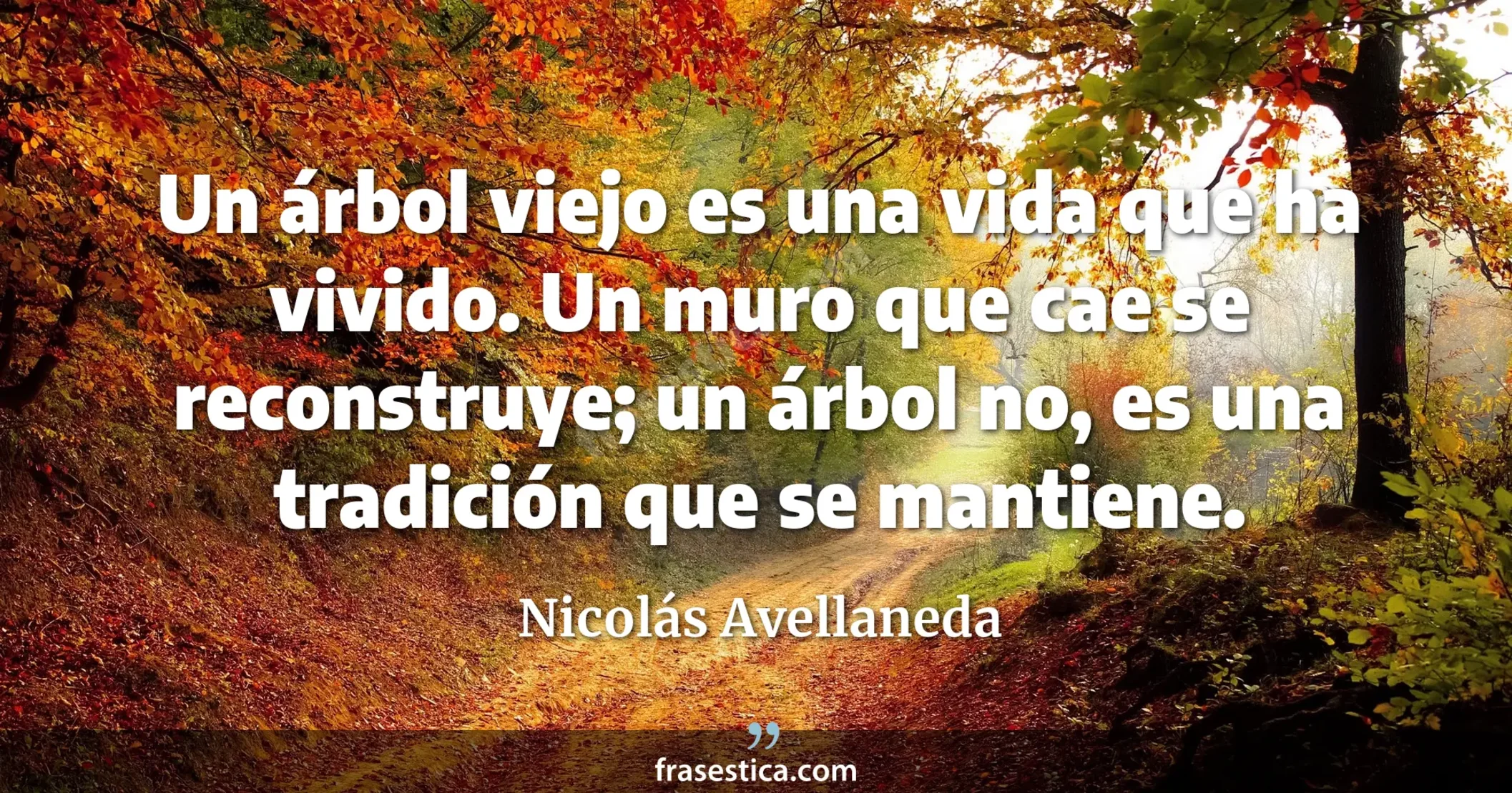Un árbol viejo es una vida que ha vivido. Un muro que cae se reconstruye; un árbol no, es una tradición que se mantiene. - Nicolás Avellaneda
