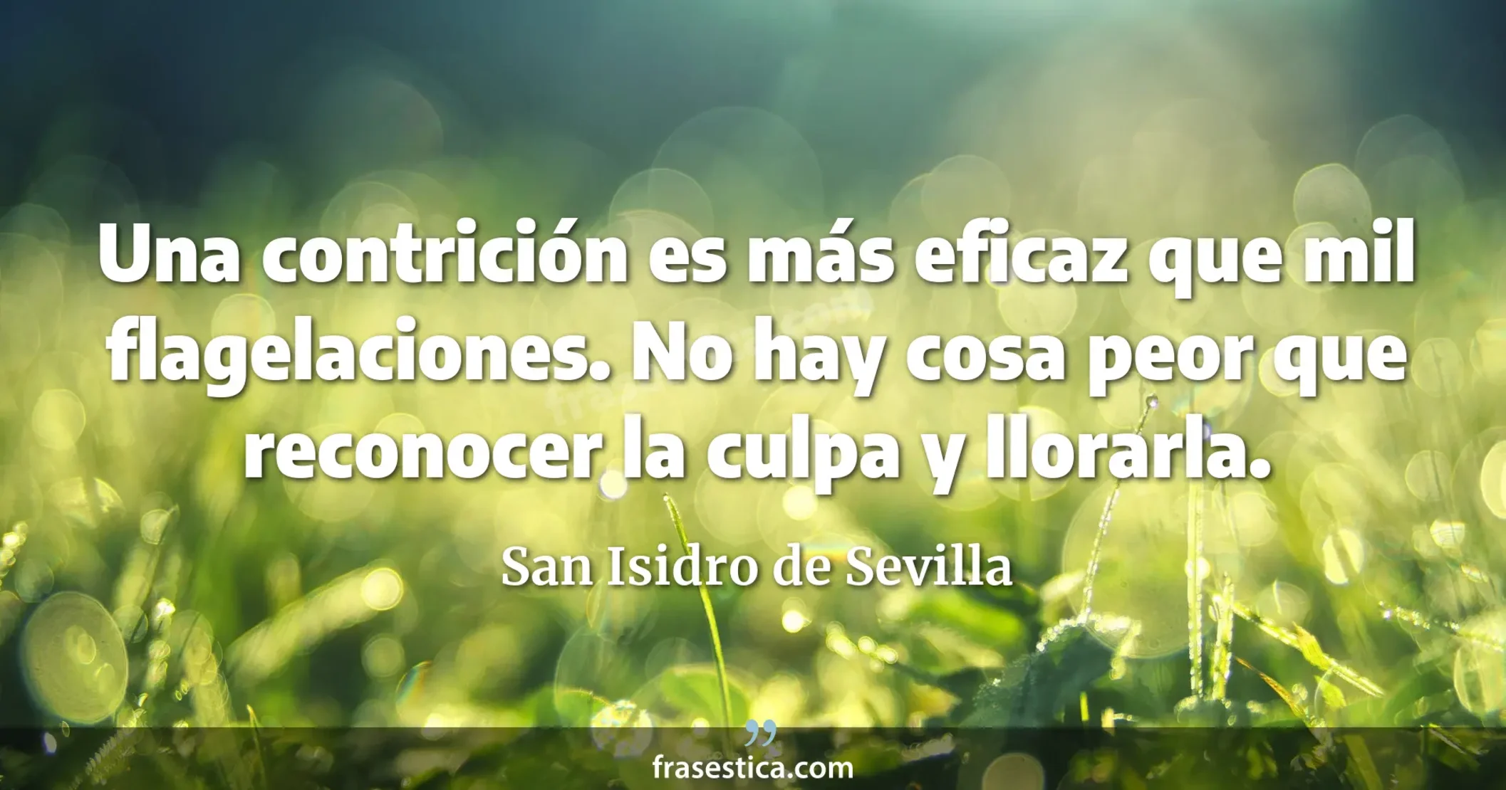 Una contrición es más eficaz que mil flagelaciones. No hay cosa peor que reconocer la culpa y llorarla. - San Isidro de Sevilla