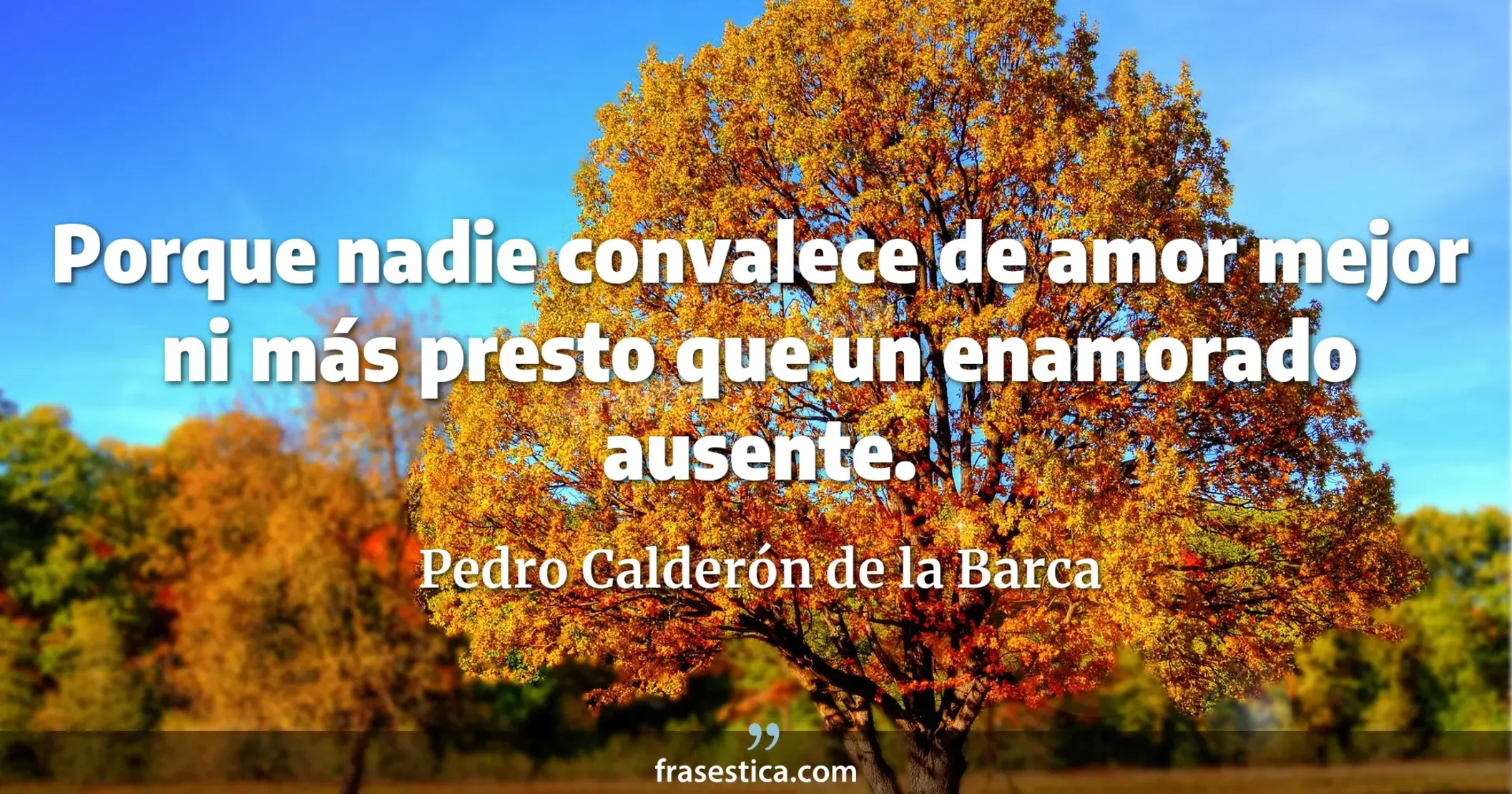 Porque nadie convalece de amor mejor ni más presto que un enamorado ausente. - Pedro Calderón de la Barca