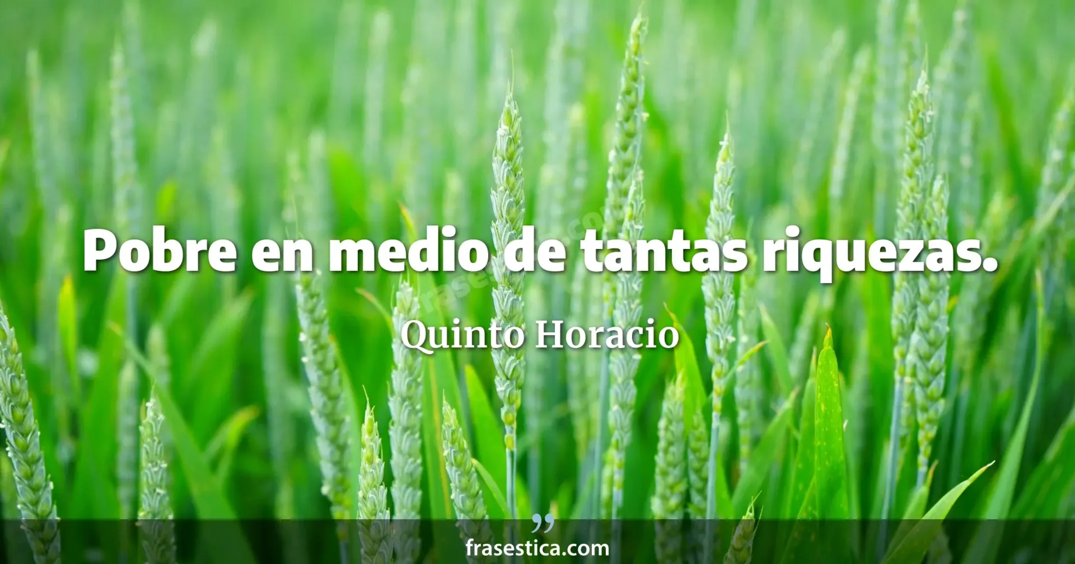 Pobre en medio de tantas riquezas. - Quinto Horacio