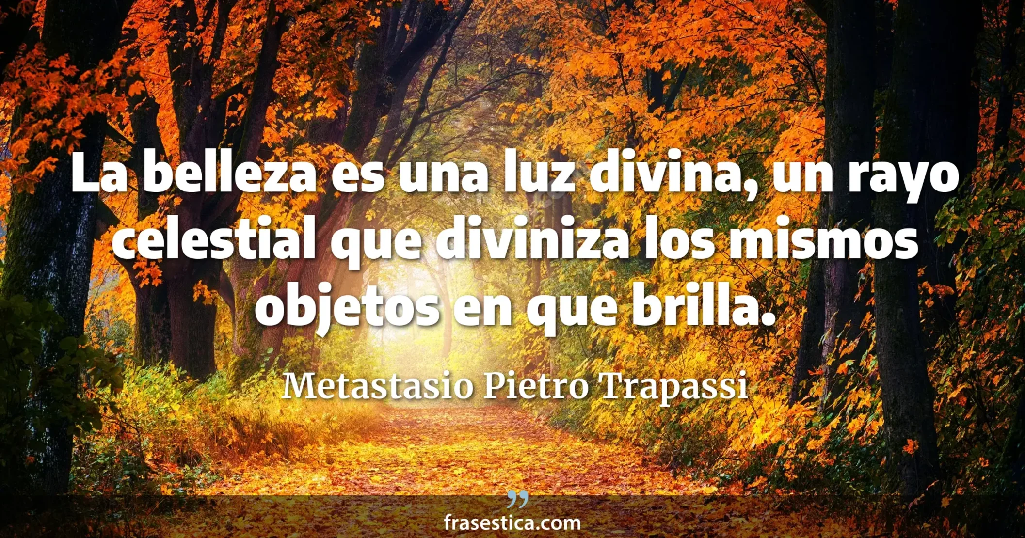 La belleza es una luz divina, un rayo celestial que diviniza los mismos objetos en que brilla. - Metastasio Pietro Trapassi