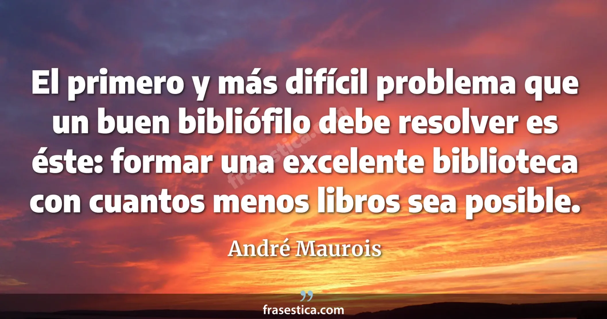 El primero y más difícil problema que un buen bibliófilo debe resolver es éste: formar una excelente biblioteca con cuantos menos libros sea posible. - André Maurois
