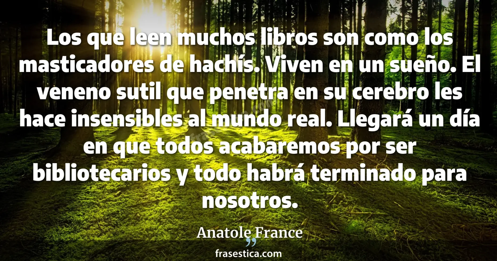 Los que leen muchos libros son como los masticadores de hachís. Viven en un sueño. El veneno sutil que penetra en su cerebro les hace insensibles al mundo real. Llegará un día en que todos acabaremos por ser bibliotecarios y todo habrá terminado para nosotros. - Anatole France