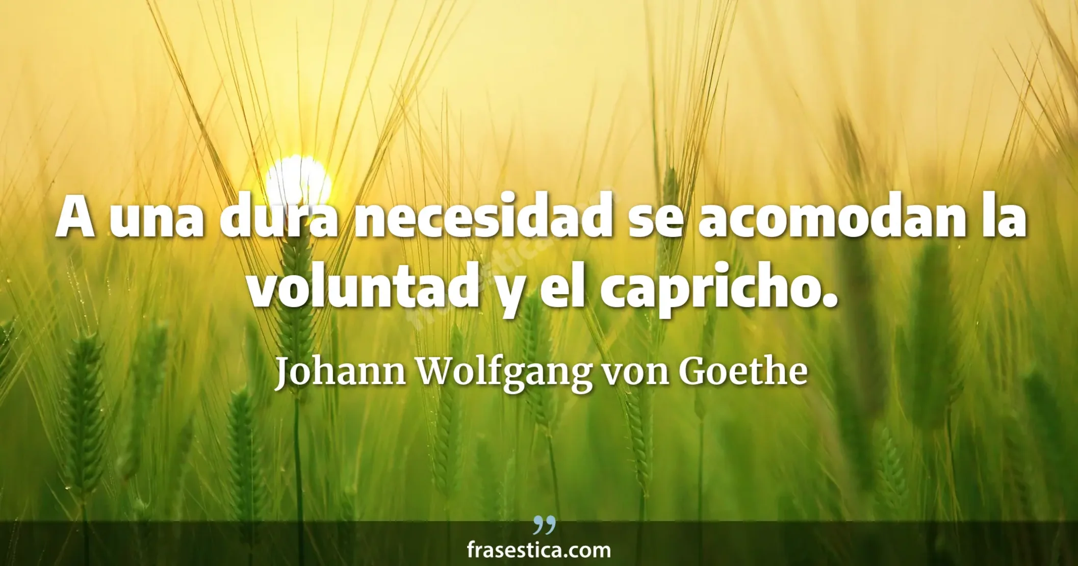 A una dura necesidad se acomodan la voluntad y el capricho. - Johann Wolfgang von Goethe