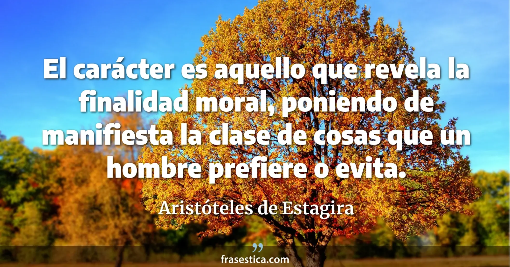 El carácter es aquello que revela la finalidad moral, poniendo de manifiesta la clase de cosas que un hombre prefiere o evita. - Aristóteles de Estagira